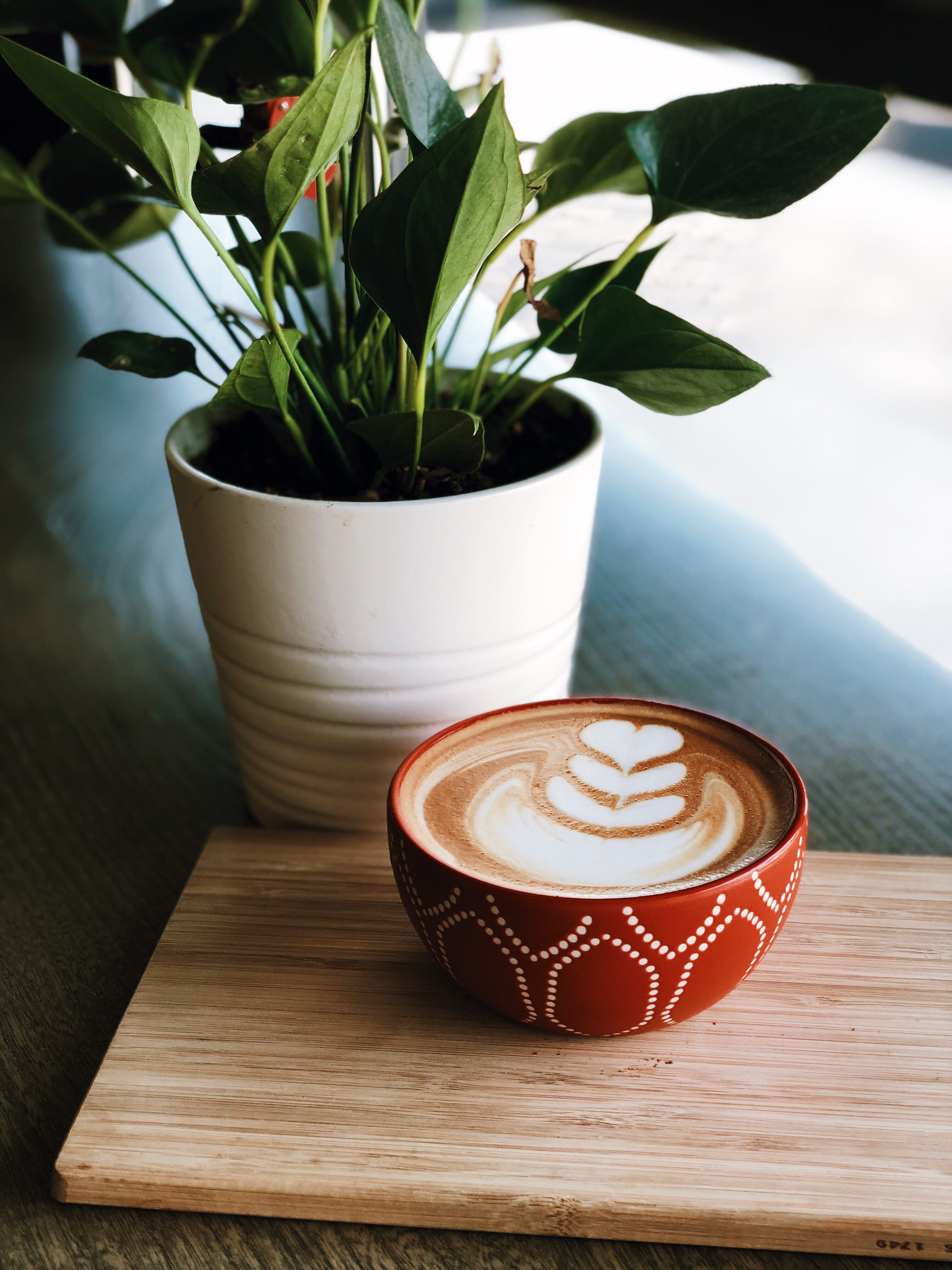 flower, food and drink, still life, cafe, drink, espresso, non-alcoholic beverage, frothy drink, goblet, freshness, glass, 4K, saucer, houseplant, beverage, Phone HD Wallpaper