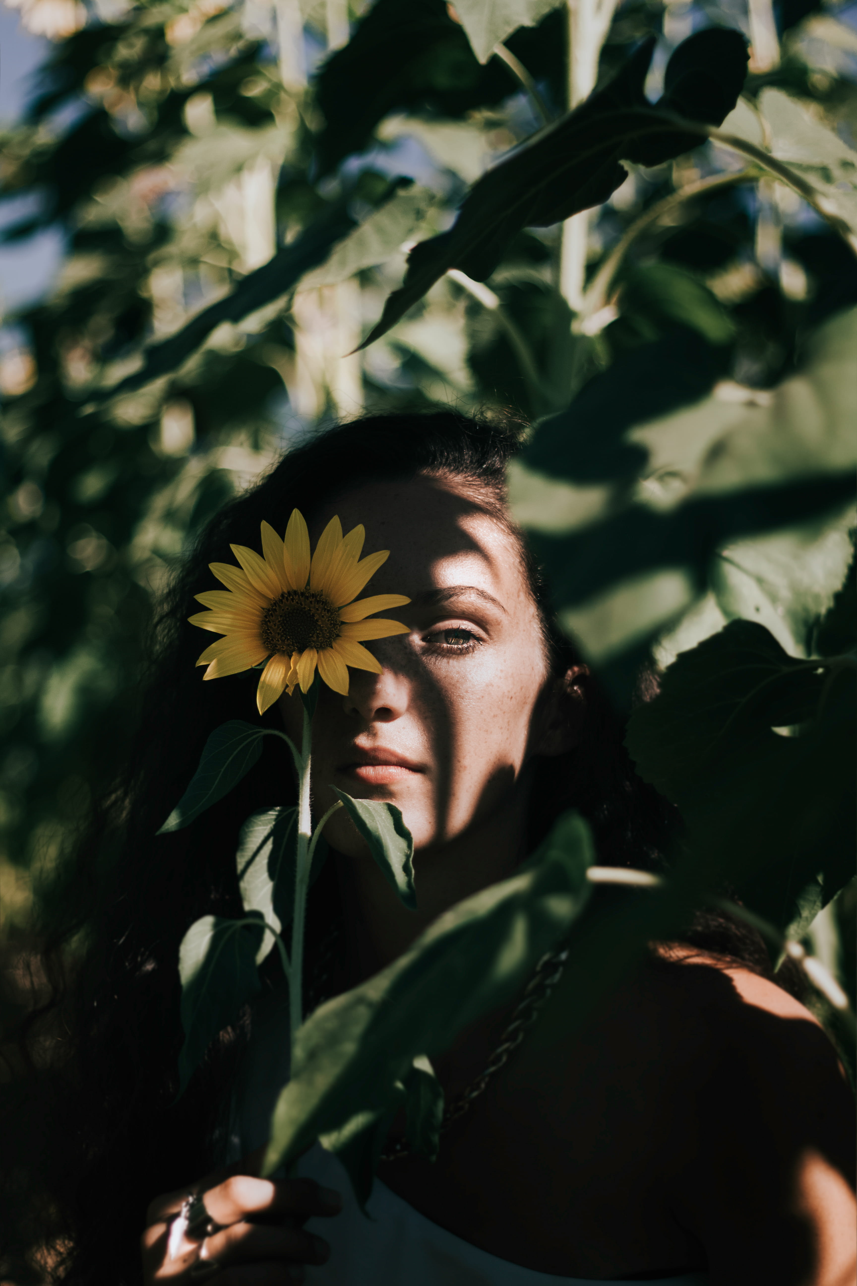 vulnerability, tree, leisure activity, flower head, lifestyles, treasure flower, plateau, young adult, headshot, human, daisy, outdoors, covering, one person, Phone HD Wallpaper