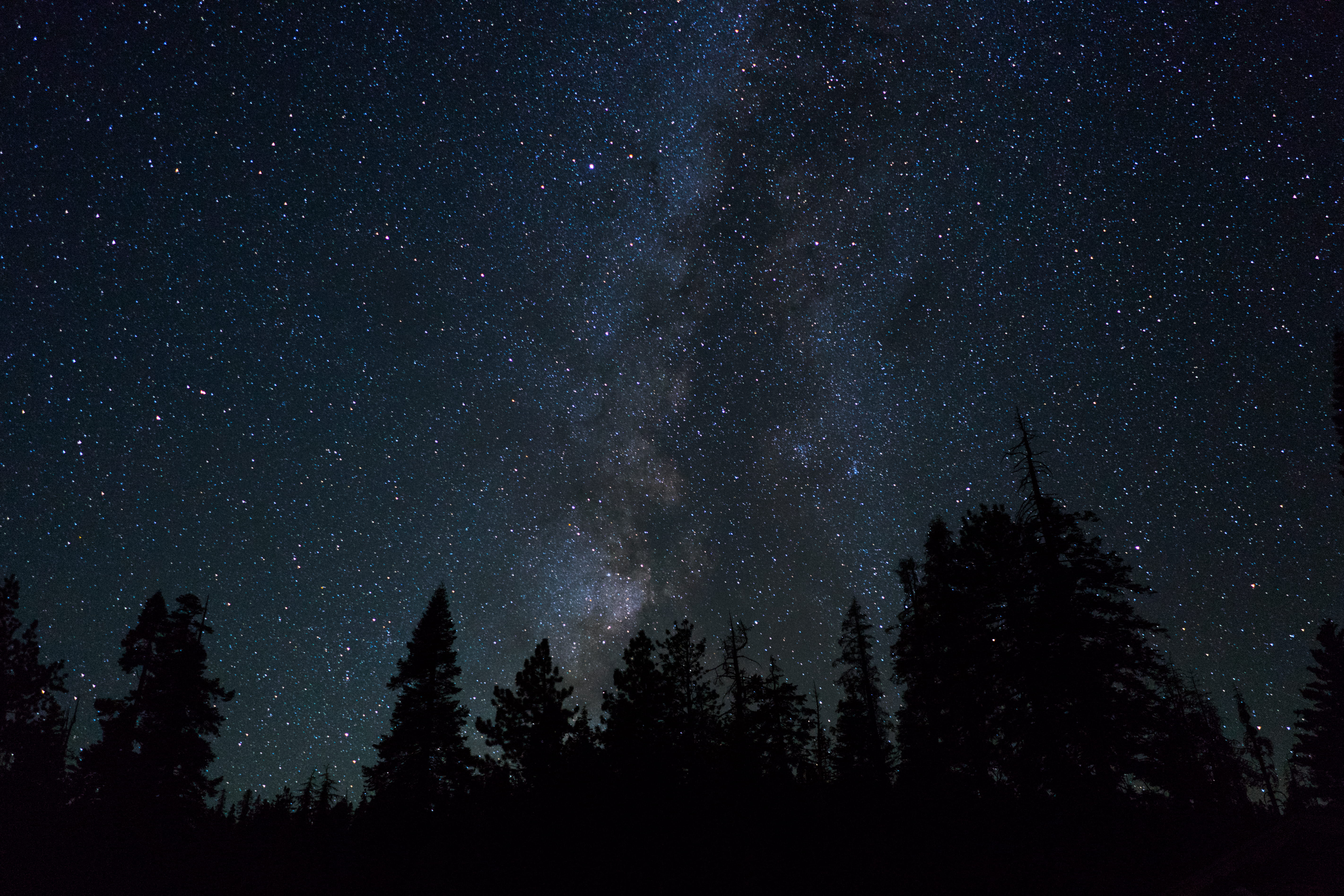 no people, nightscape, yosemite valley, night, stars, night sky, nature, fir tree, low angle view, coniferous tree, beauty in nature, yosemite national park, HD Wallpaper
