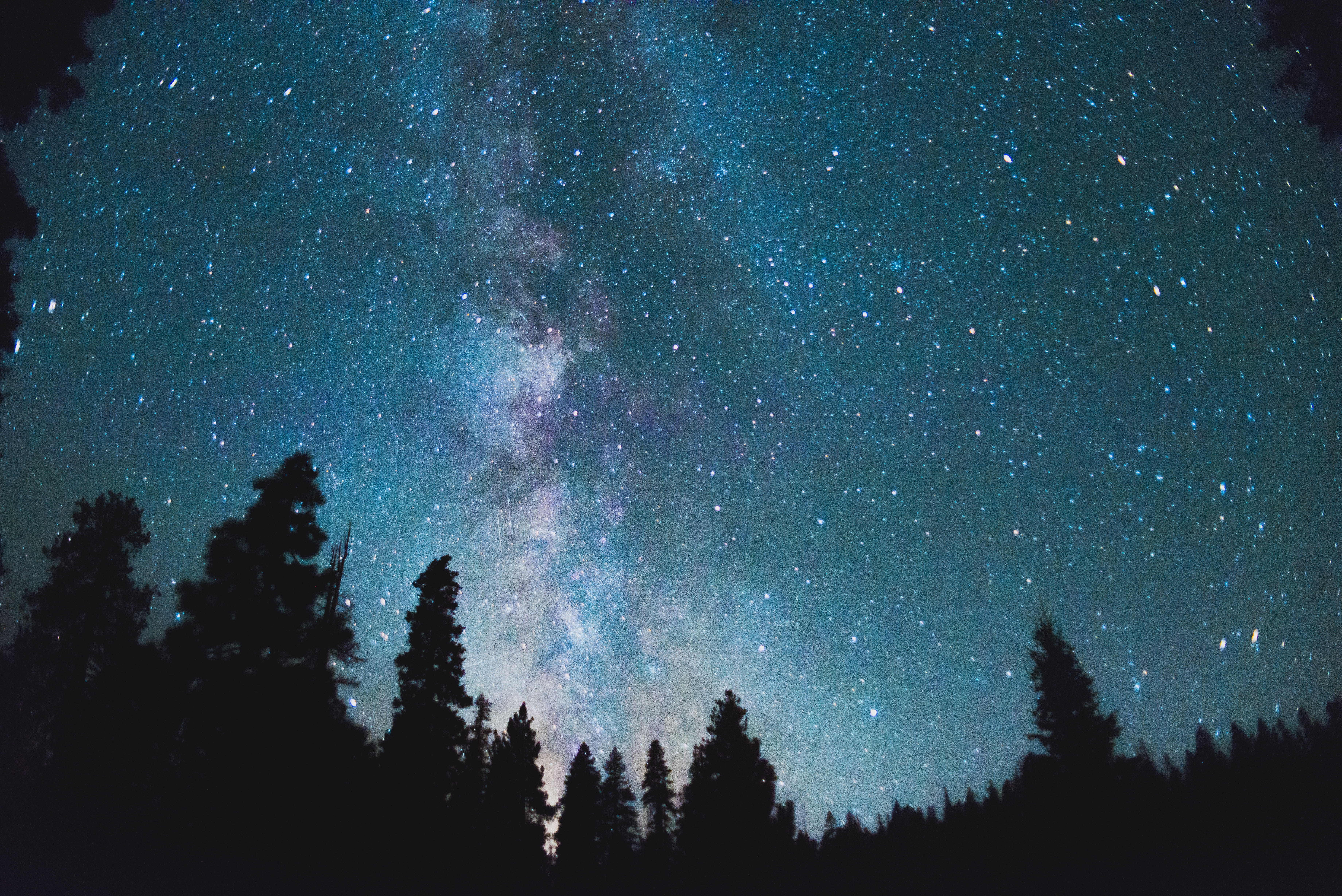 yosemite, astrophotography, low angle view, 5K, tree, space, astro, california, tranquility, galaxy, forest, no people, astronomy, stars, star field, beauty in nature, HD Wallpaper