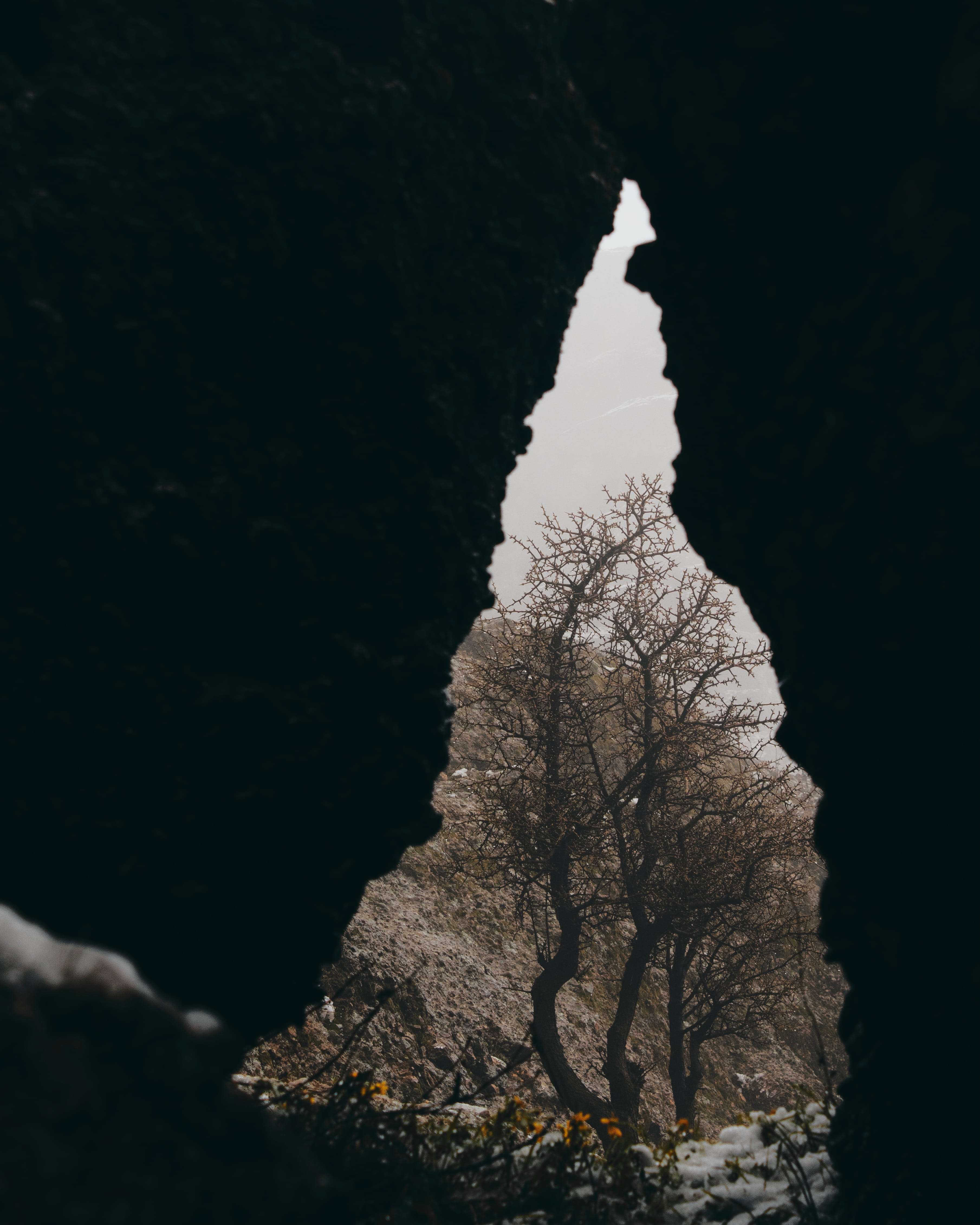 scenics - nature, rocks, snow, 4K, branch, sky, beauty in nature, plant, tranquil scene, land, no people, tower, night, fir, spire, abies, earth, non-urban scene, Phone HD Wallpaper