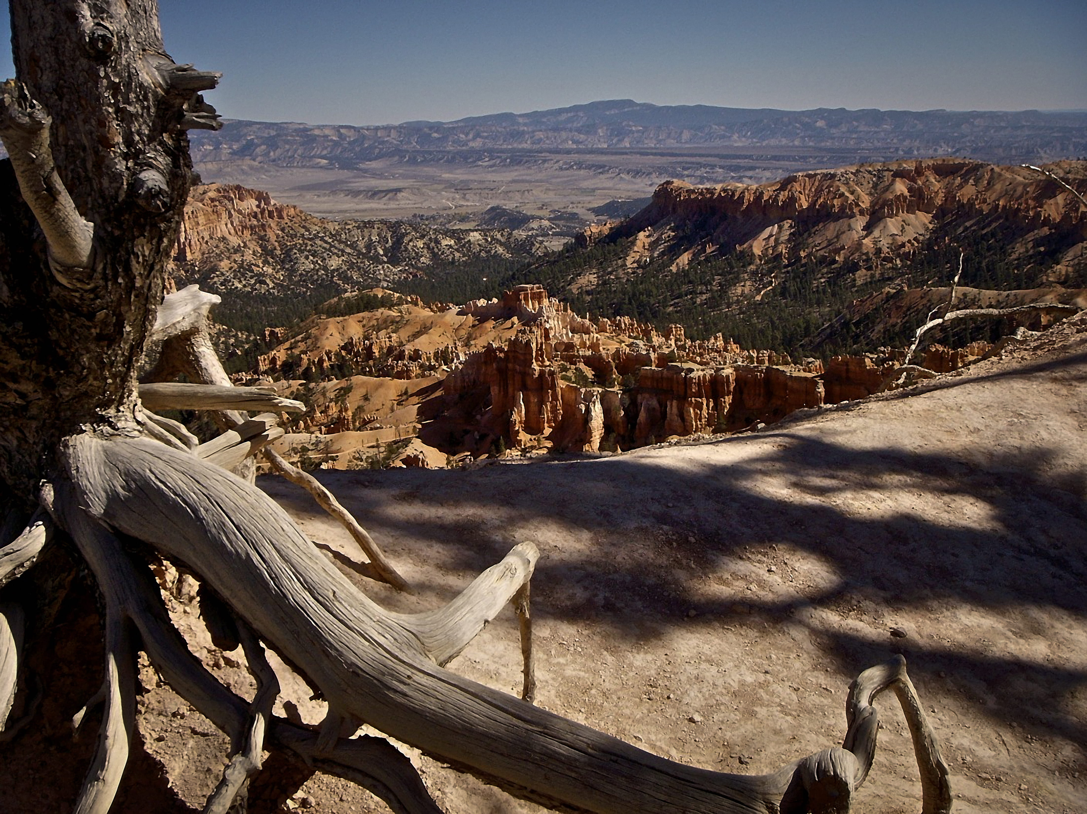 rock formation, solid, travel destinations, view, sunlight, national park, park, canyon, scenics - nature, land, tranquil scene, tranquility, national, HD Wallpaper
