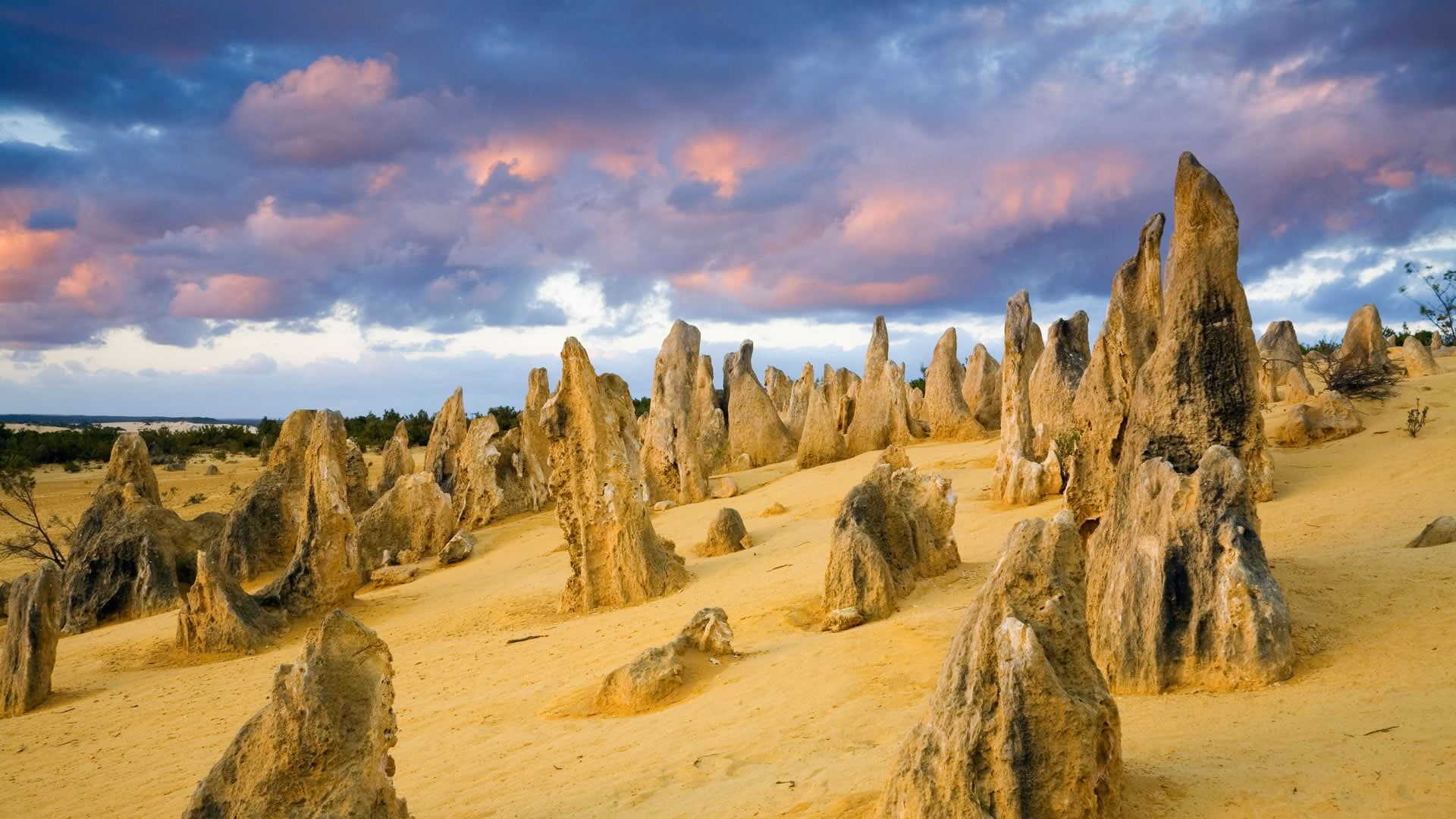 National Park Nambung, Pinnacles, 1080P, desert, Australia, HD Wallpaper