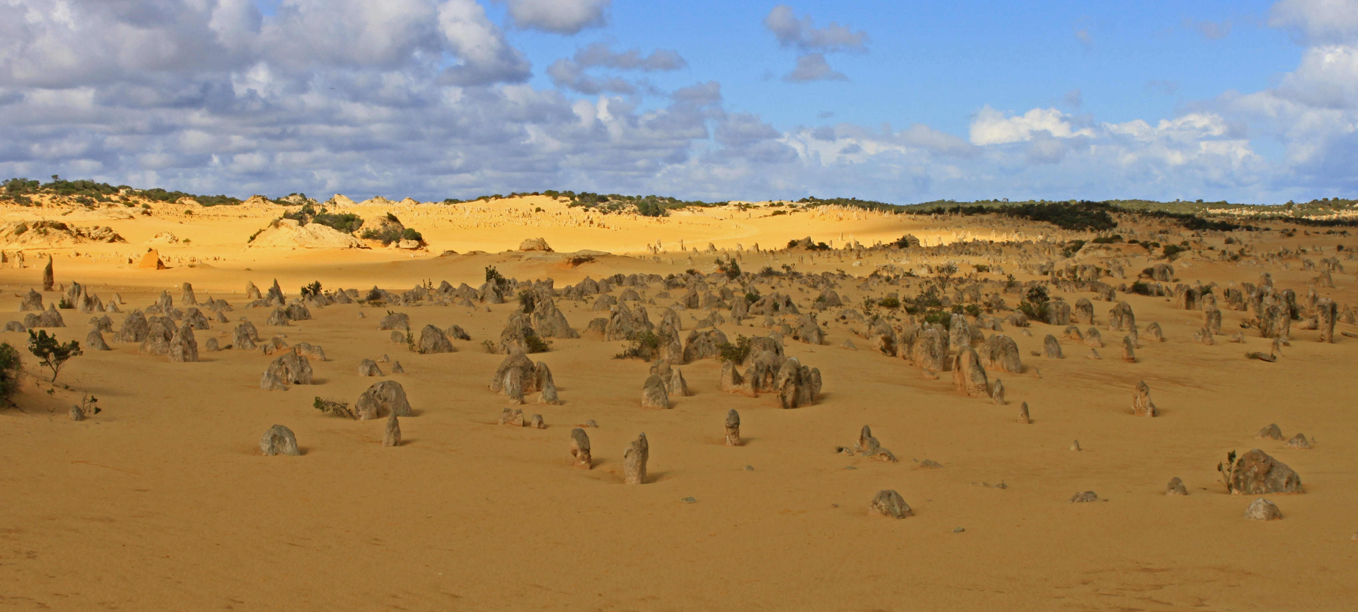 4K, cloud - sky, Nambung National Park, beauty in nature, park, land, nambung, animal, nature, sand, no people, scenics - nature, travel destinations, HD Wallpaper