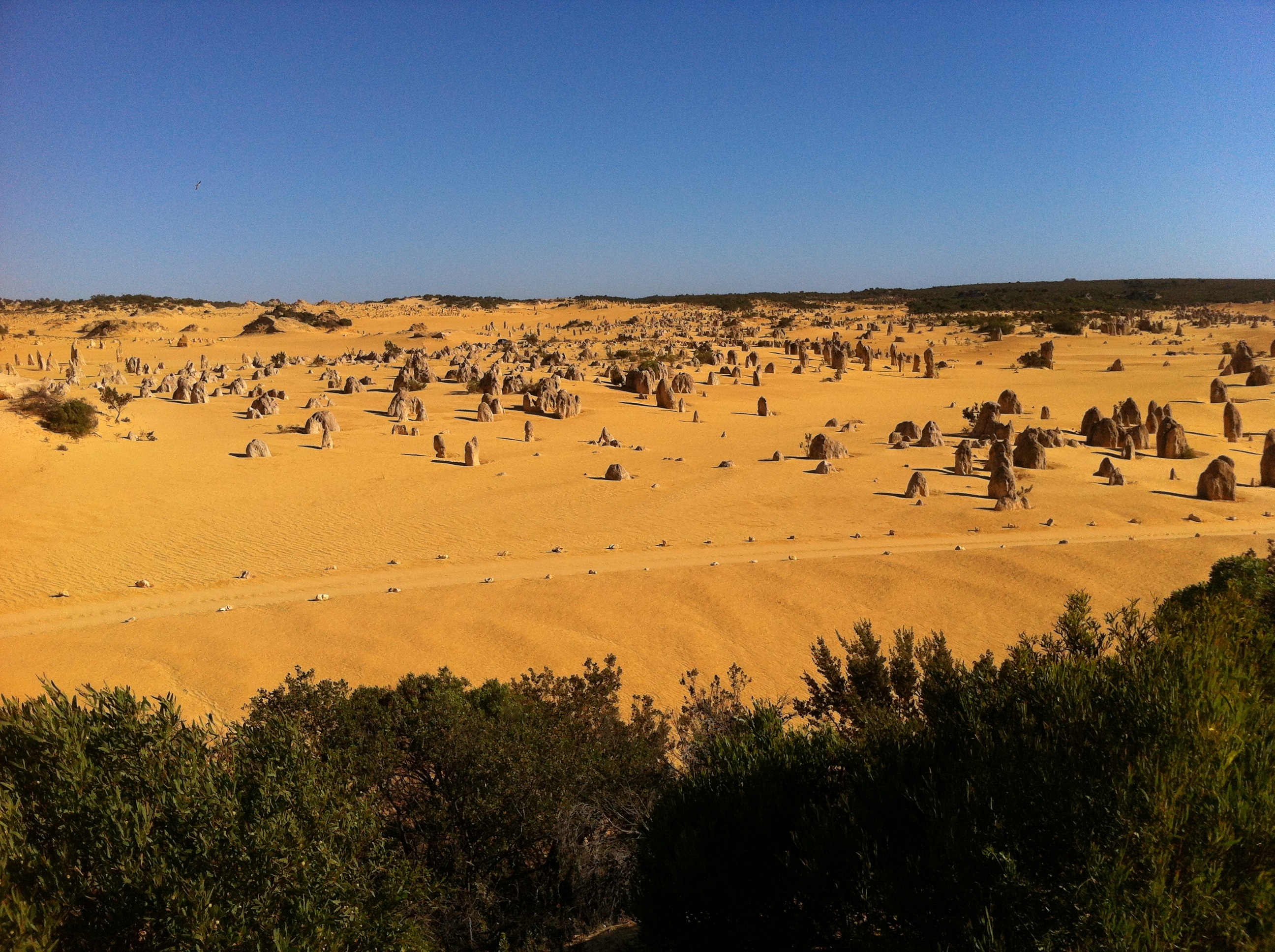 west australia, clear sky, ancient, australia, landscape, arid climate, non-urban scene, climate, day, plant, scenics - nature, copy space, 2K, desert sculptures, HD Wallpaper