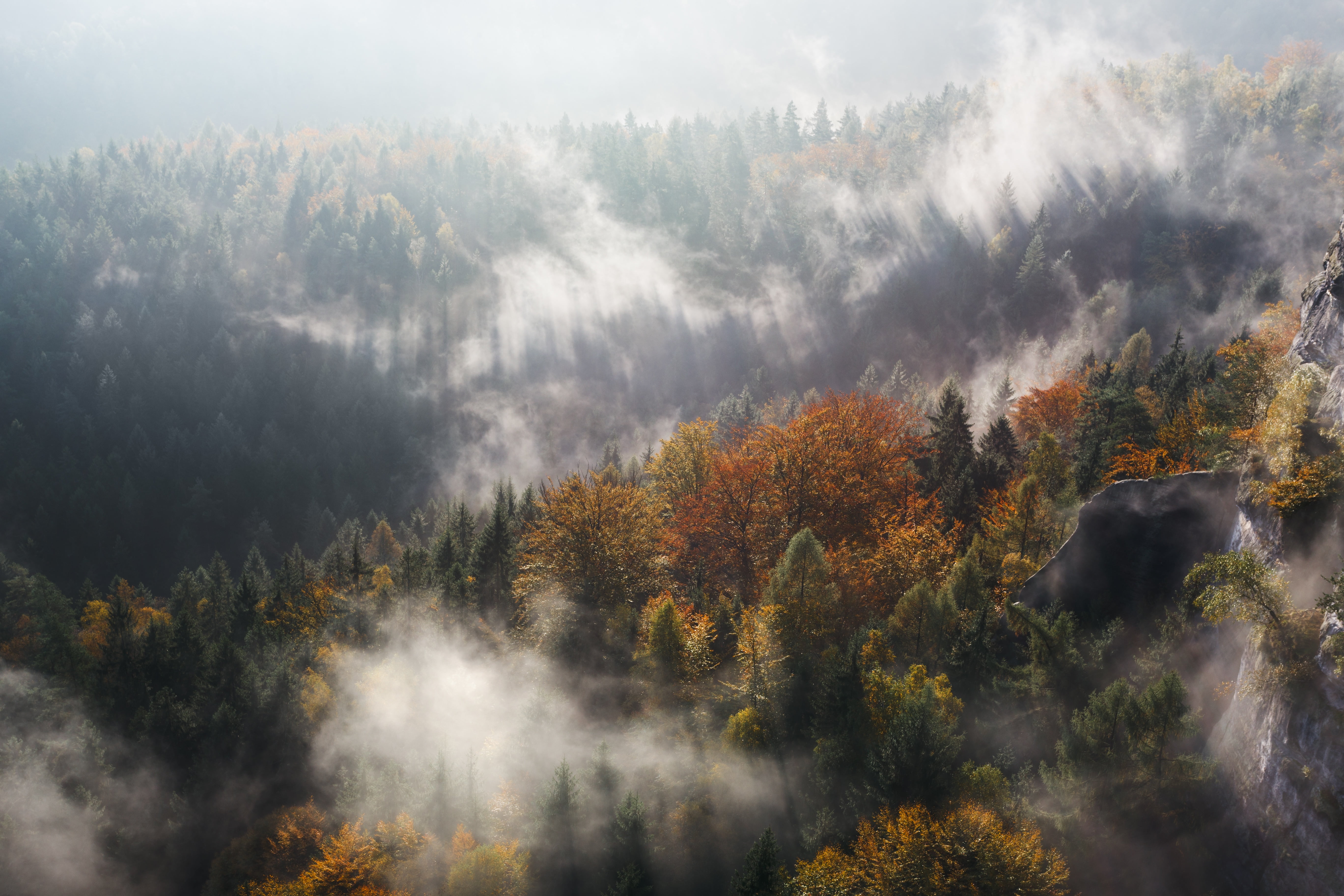 land, autumn, trees, season, morning, rural Scene, environment, sunset, beauty In Nature, sunlight, mountain Peak, backgrounds, pinnacle, dawn, green Color, HD Wallpaper