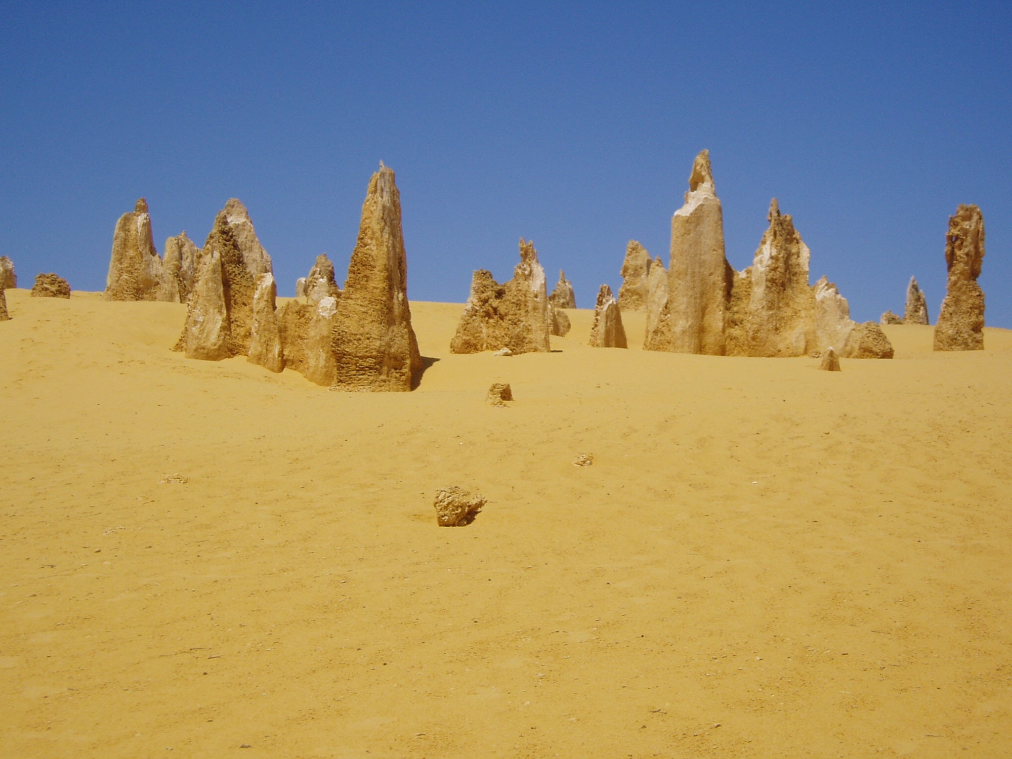 plant, west coast, semi-arid, scenics - nature, day, clear sky, beauty in nature, nature, pinnacle desert, environment, tranquil scene, non-urban scene, HD Wallpaper