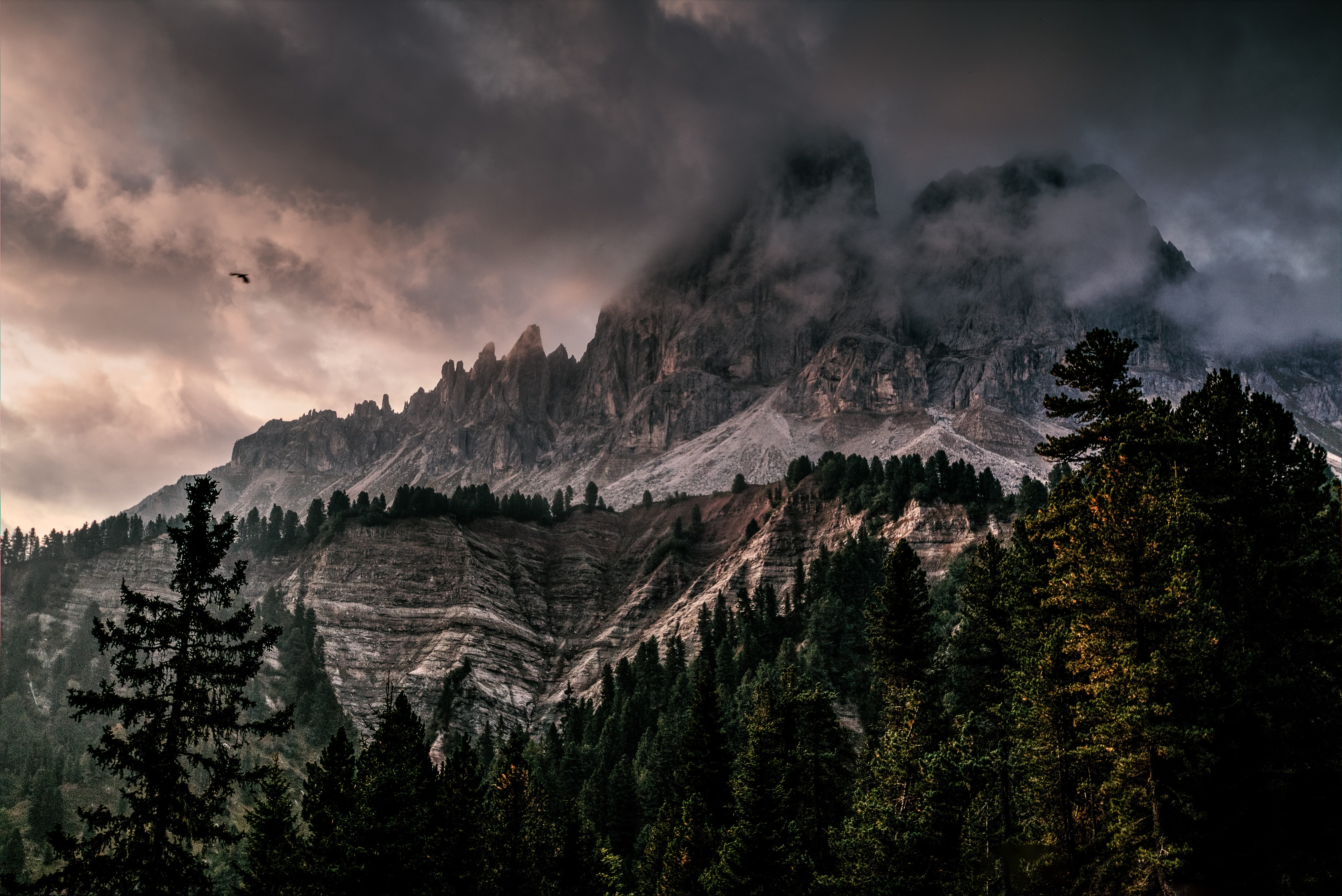 outdoors, mist, trees, mountain, non-urban scene, snow, pine tree, covered, pinnacle, black, rock, landscape, winter, nature, sky, scenic, HD Wallpaper