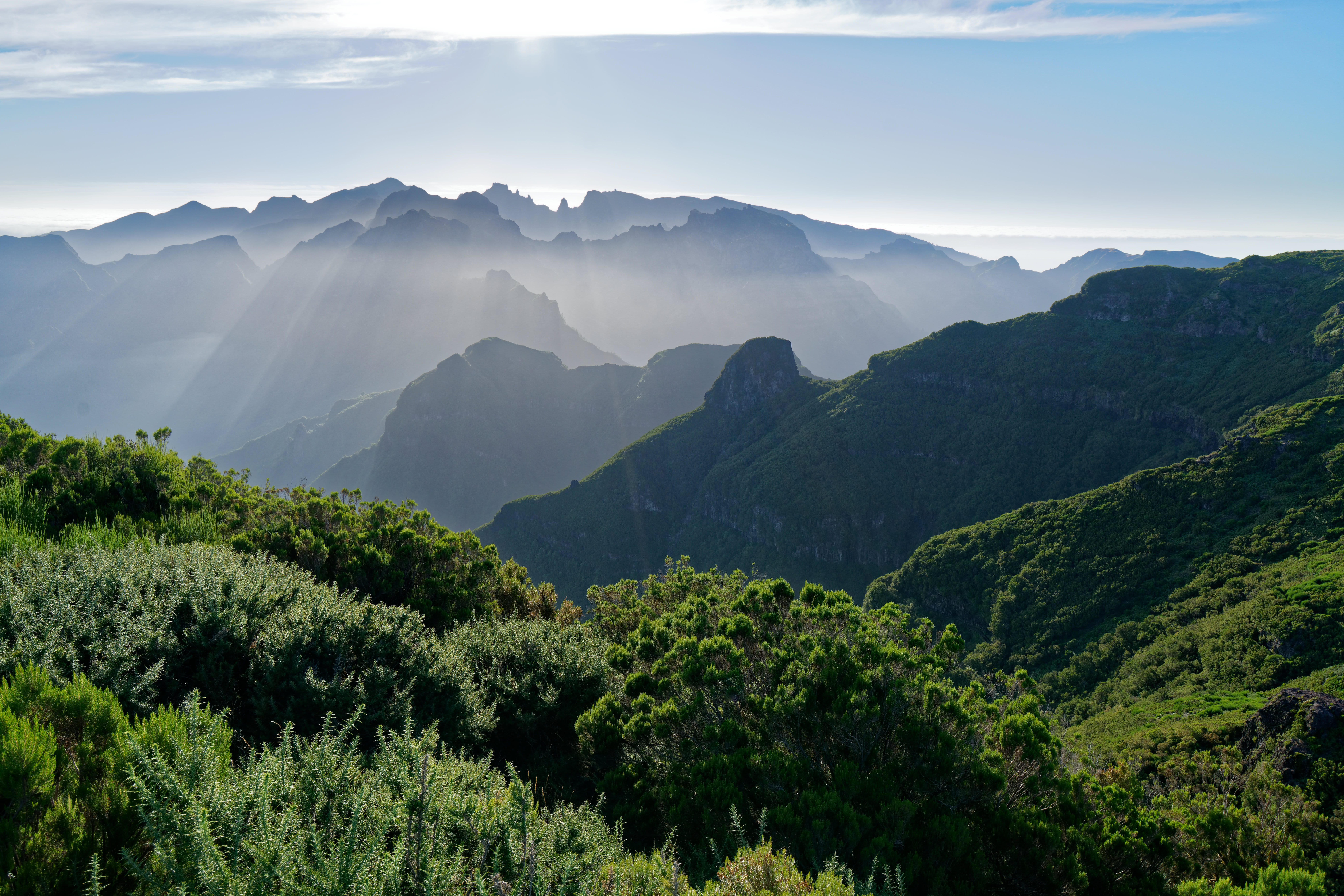 plant, mountain peak, mountain range, idyllic, growth, 8K, no people, portugal, mountain, tranquil scene, backlit, scenics - nature, outdoors, nature, HD Wallpaper