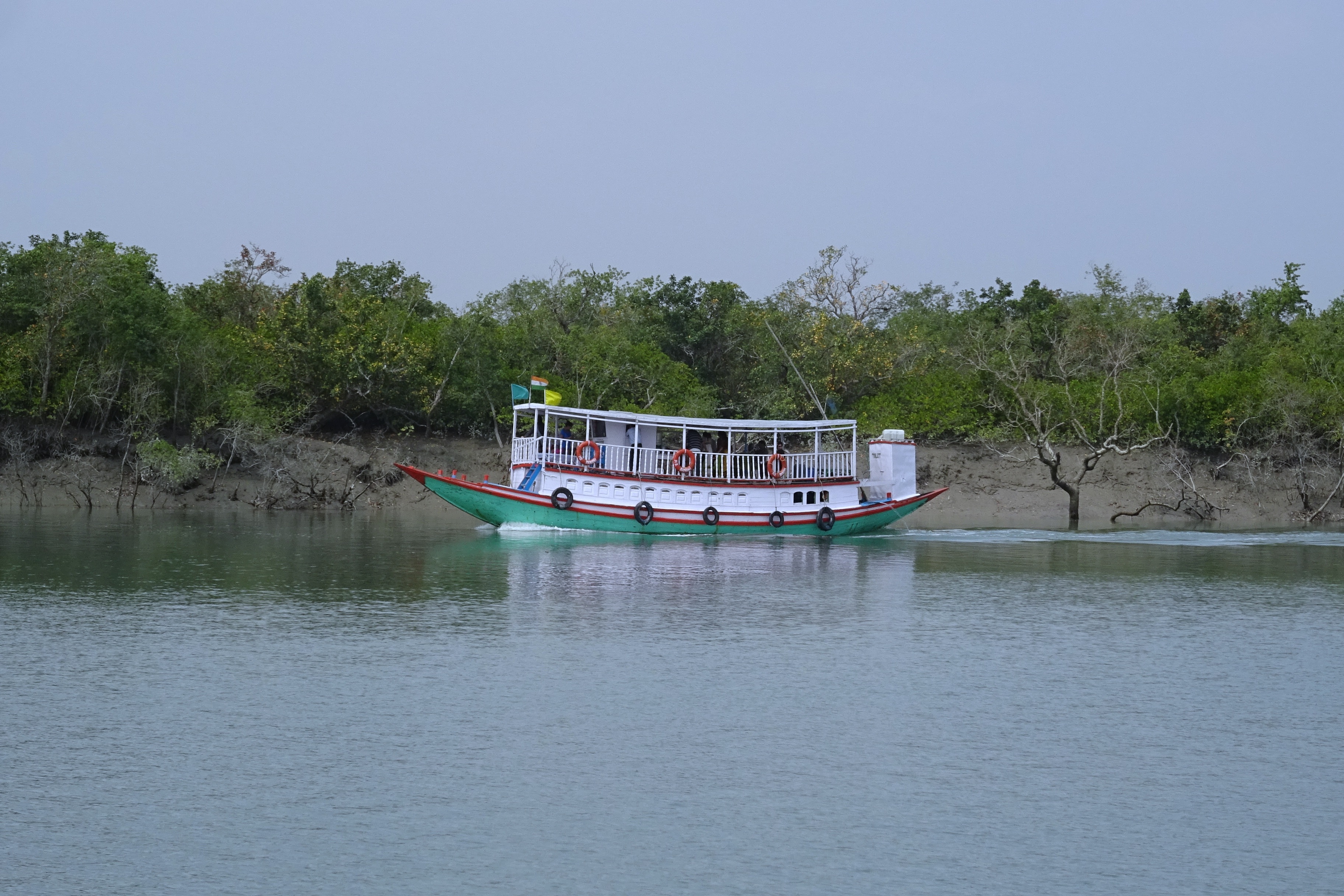 travel, lake, boat, ramsar site, forest, mode of transportation, craft, mangroves, plant, water, tourism, waterfront, day, transportation, passenger craft, HD Wallpaper