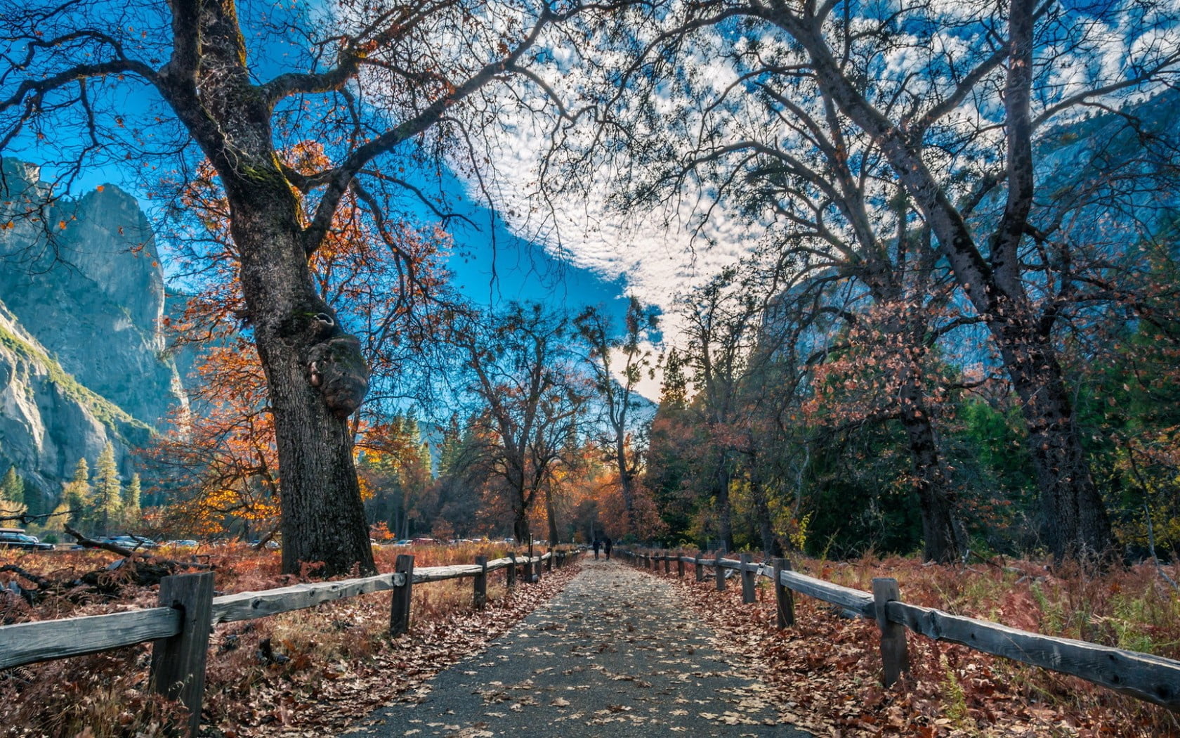green Color, rural Scene, change, footpath, mountain, gold Colored, scenics - nature, vibrant Color, scenics, outdoors, forest, autumn collection, withered, HD Wallpaper