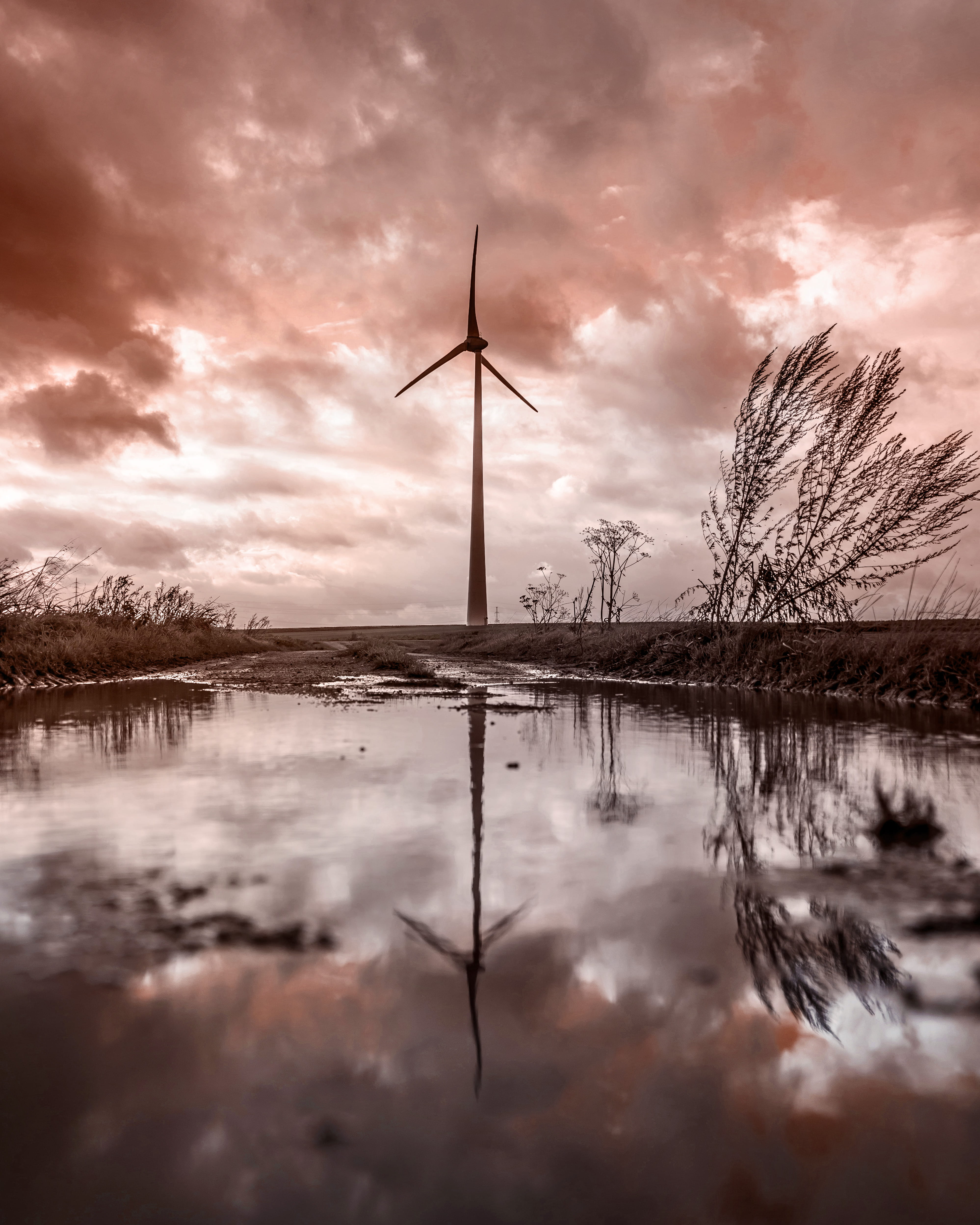 wind turbine, alternative, power supply, rotation, landscapes, environmental, efficiency, renewable energy, tranquility, electricity, environment, sunset, Phone HD Wallpaper
