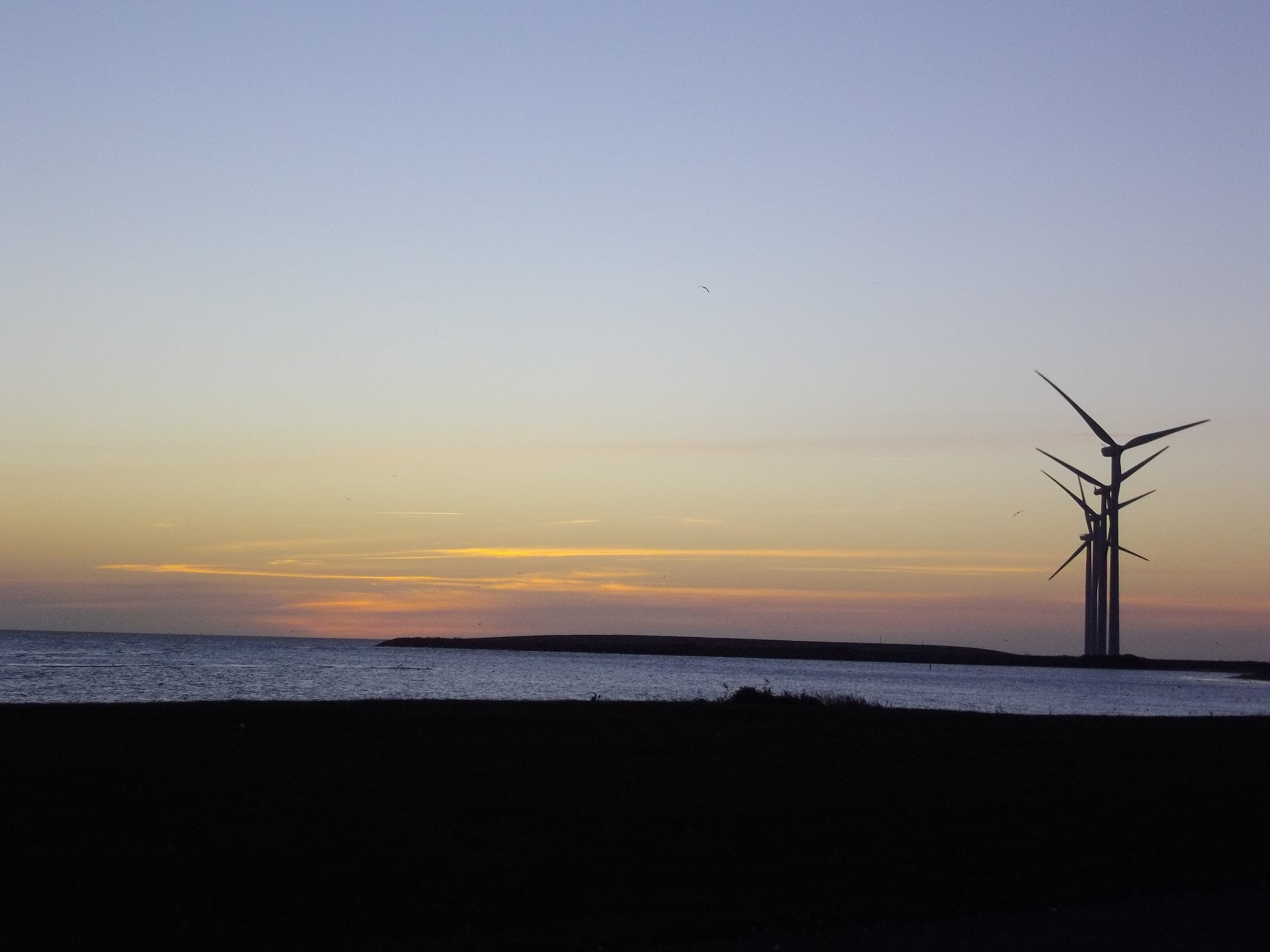 alternative, clean, sky, sunset, beach, blade, blue, Background, windmill, generator, fuel and power generation, environment, ecology, beauty in nature, HD Wallpaper