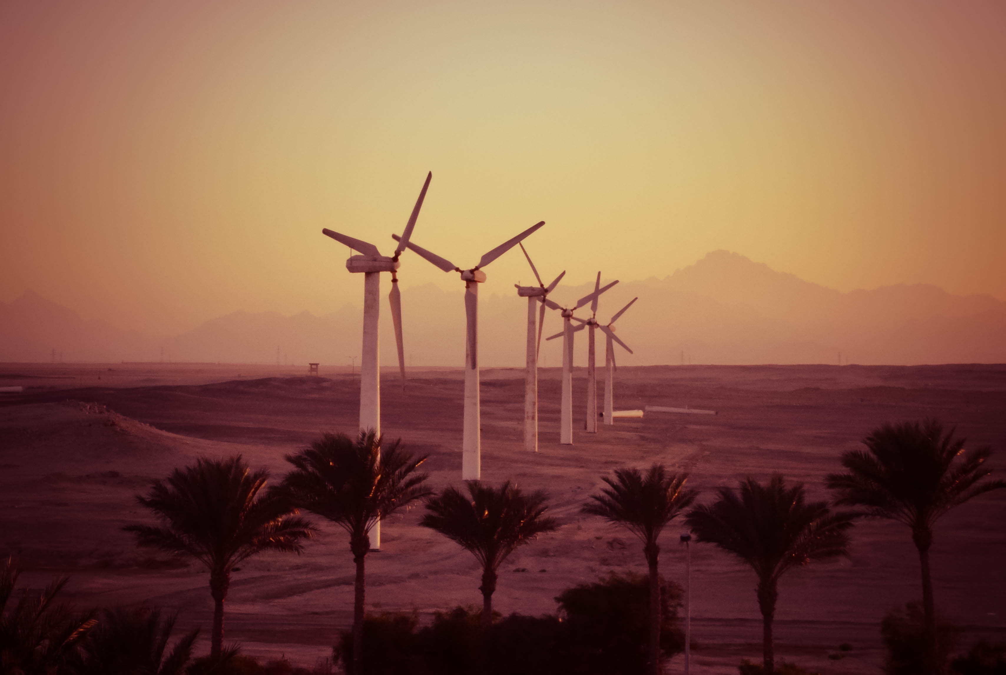 outdoors, 2K, nature, sustainable resources, wind, wind energy, sea, water, environment, movie gate hurghada hotel, land, beauty in nature, alternative energy, HD Wallpaper