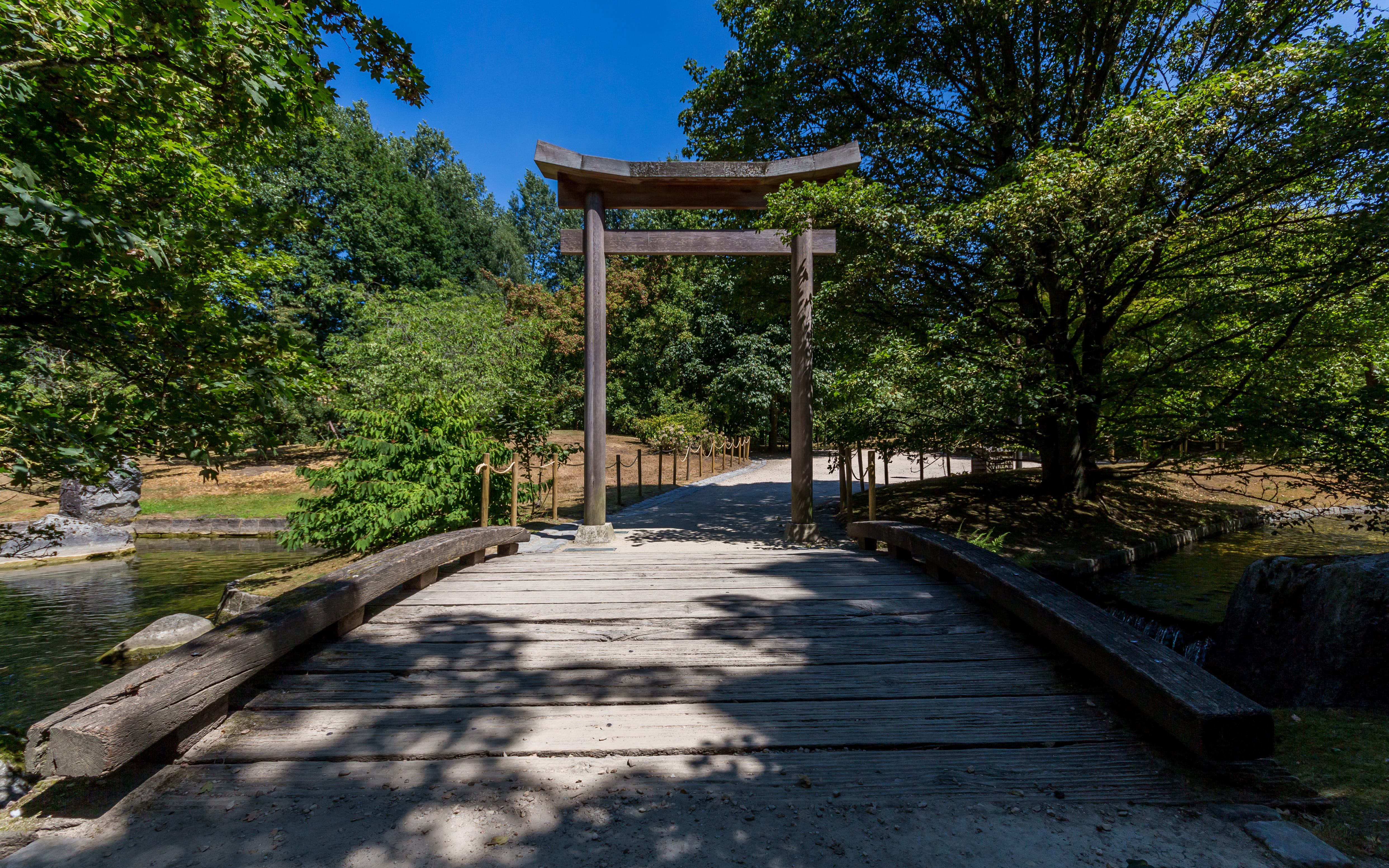 the way forward, day, architecture, japanese garden, blue, nipon, shadow, japansetuin, 4K, tree, nature, no people, outdoors, wood - material, japan, connection, HD Wallpaper