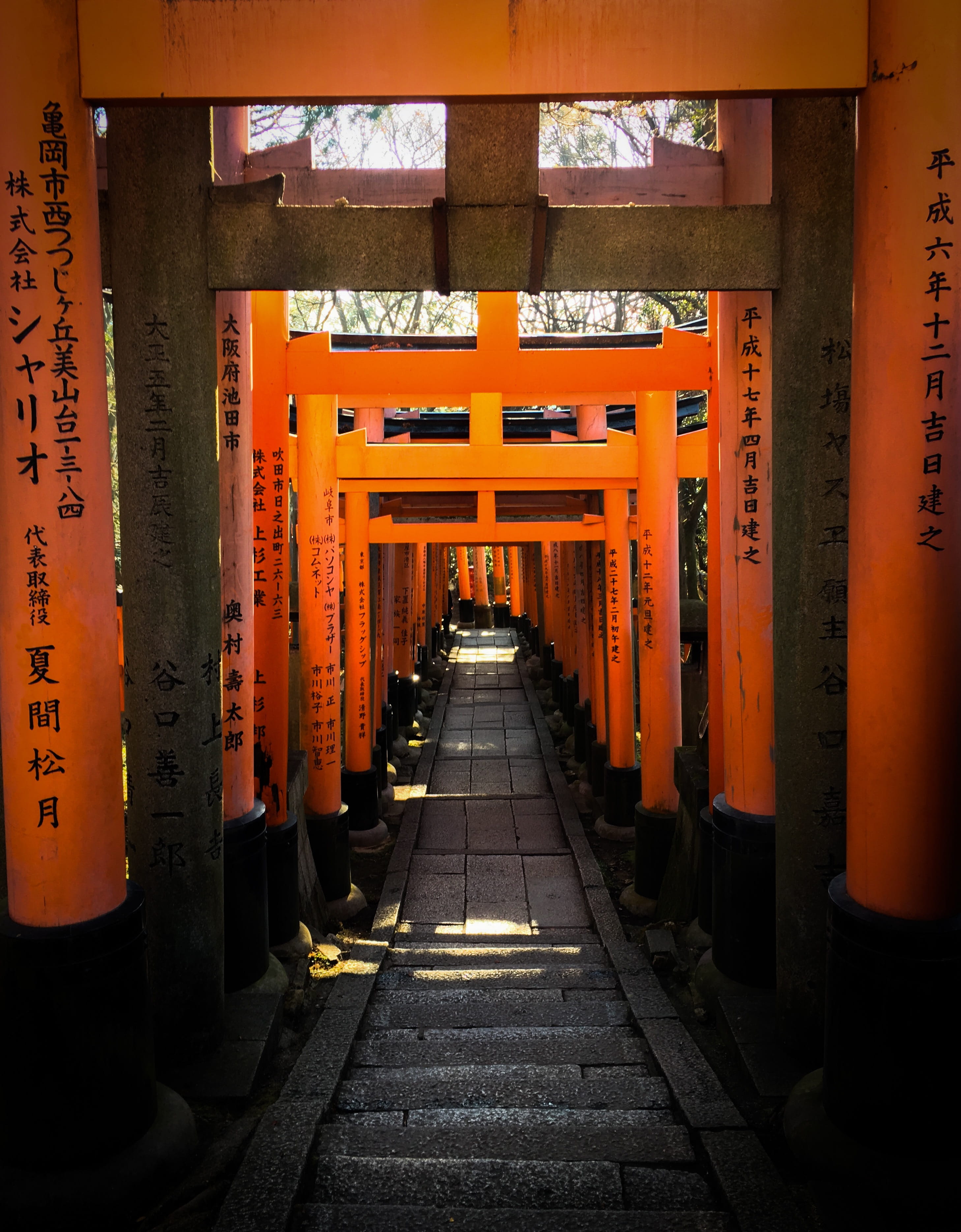#leadin, built structure, orange color, aisle, pillars, warehouse, diminishing perspective, 2K, gate, #perspective, religion, #continuous, #japan, script, Phone HD Wallpaper