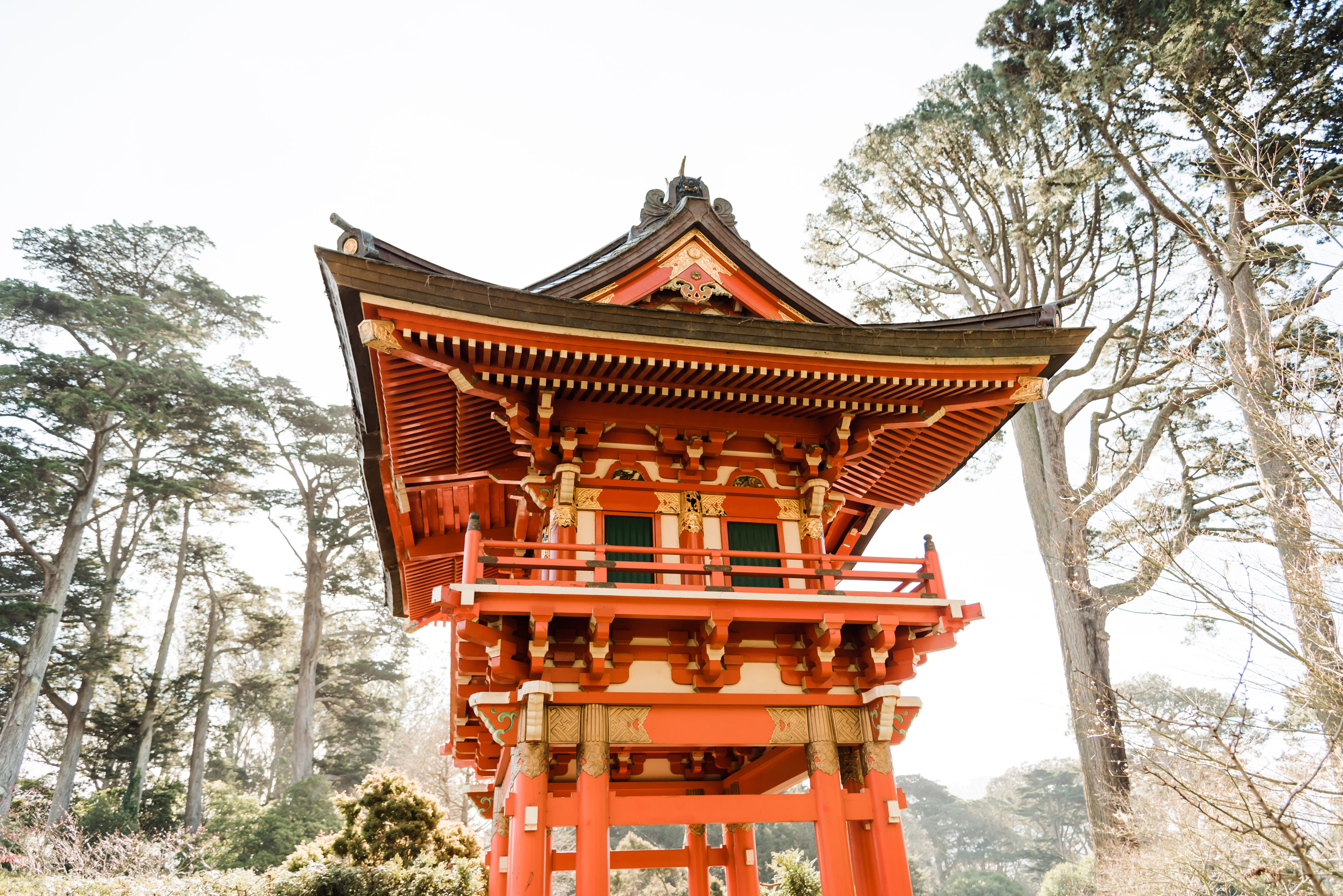 built structure, shrine, column, place of worship, torii, architecture, no people, carving, plant, day, religion, spirituality, margaret whiston, porch, HD Wallpaper