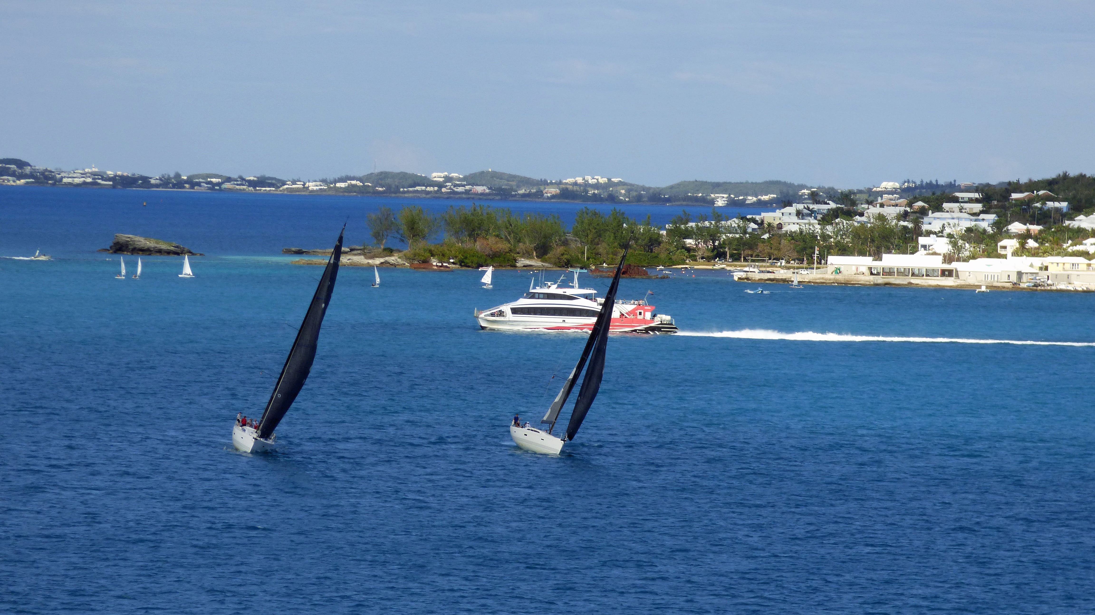 scenics - nature, racing, waterfront, tree, water, ocean, beauty in nature, sailboat, sailing, nature, tranquility, non-urban scene, cruising, 4K, yacht, HD Wallpaper
