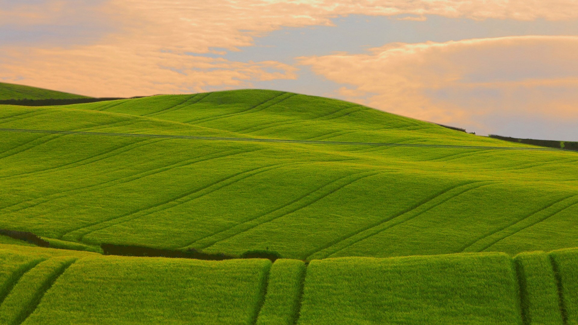 scenics - nature, farm, landscape, crop, field, beauty in nature, plant, no people, environment, cereal plant, land, growth, green color, super pictures nature 1920x1080, HD Wallpaper