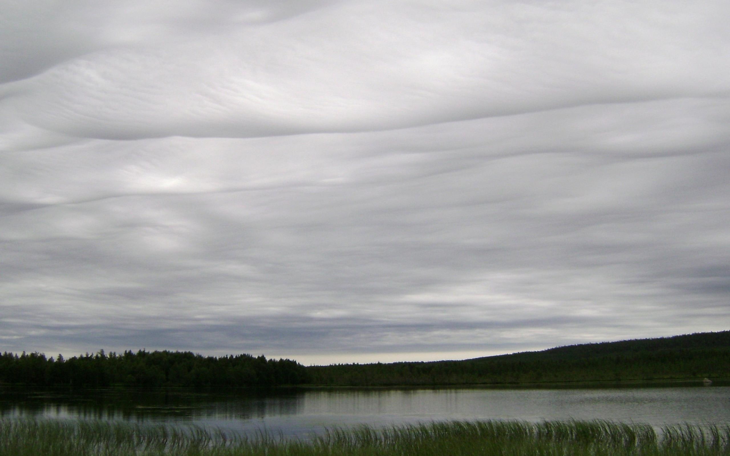 reeds, 3d and abstract, 2K, cream, gloomy, rolling, cloud, beautiful, clouds, nature, lakes, overcast, hills, formations, HD Wallpaper
