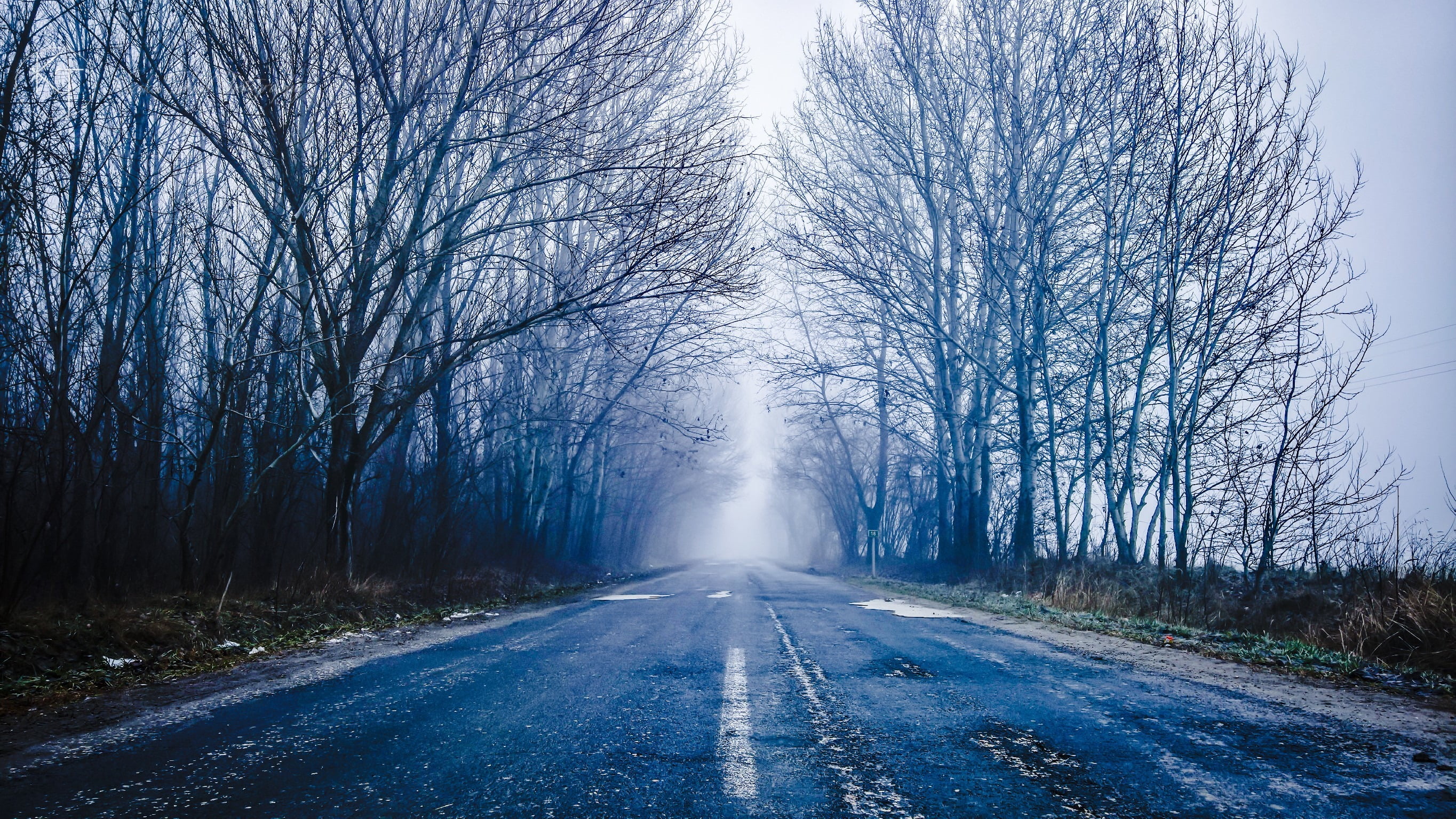 scenics - nature, 2K, no people, the way forward, winter, long, white, blue, painting, empty road, treelined, tree, beauty in nature, snow, day, cold temperature, HD Wallpaper