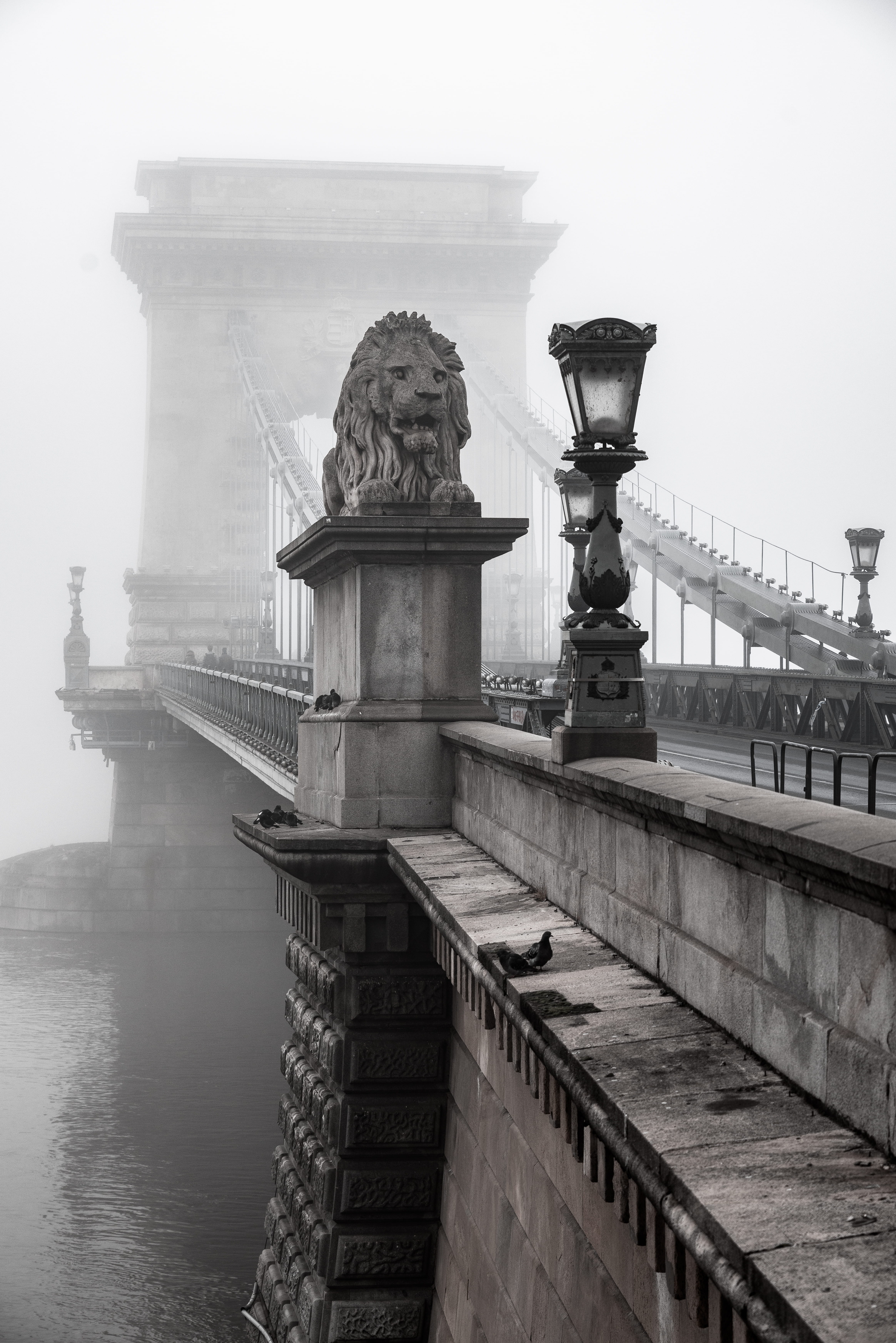 black, person, building exterior, budapest, day, hungary, 5K, built structure, brooklyn, architecture, morning, river, danube, architectural column, bridge - man made structure, Phone HD Wallpaper