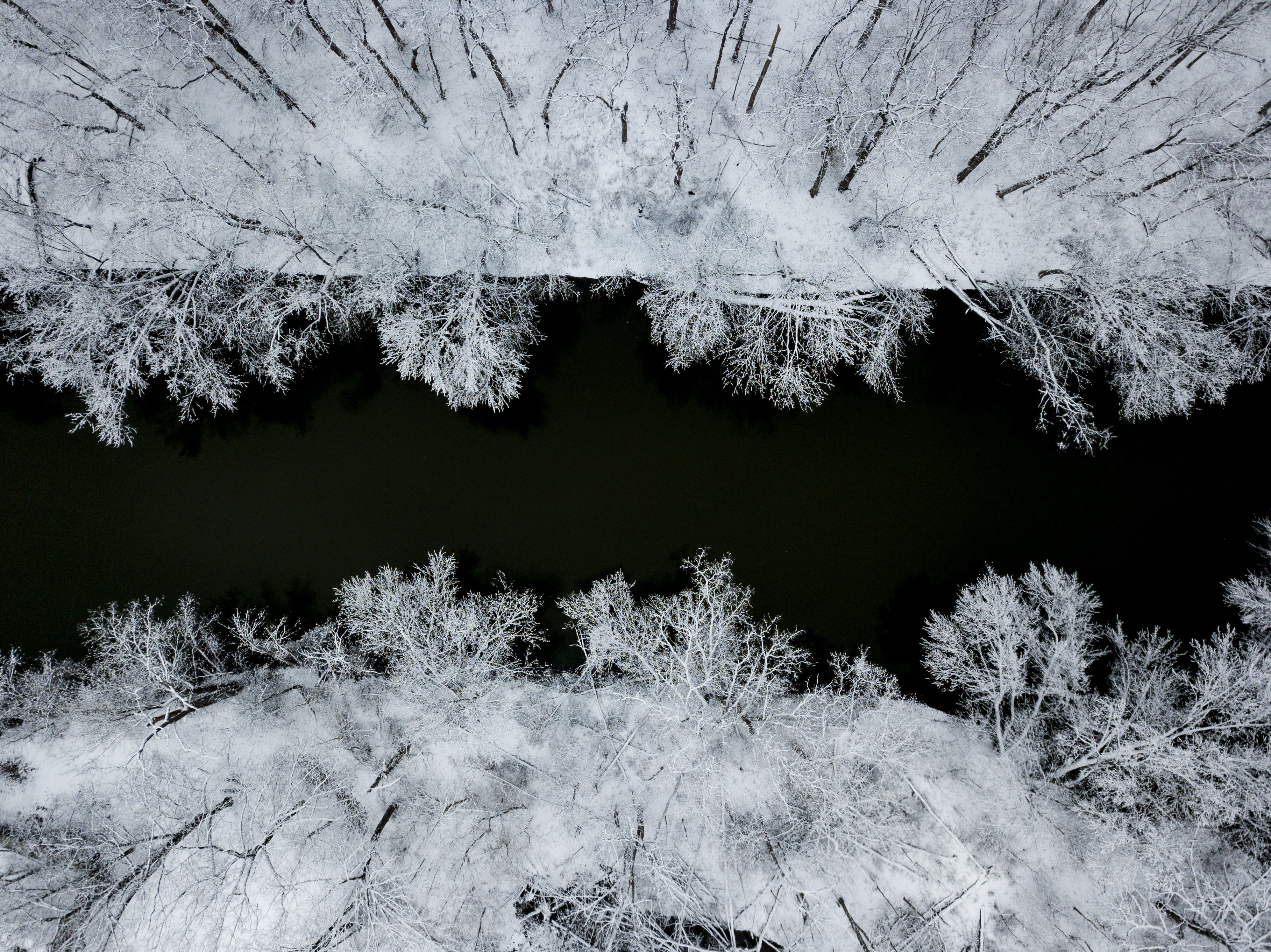 no people, cold temperature, bare, tree, symmetrical, taken, river, finland, day, non-urban scene, daytime, outdoors, growth, cold, leafless, frozen, water, HD Wallpaper