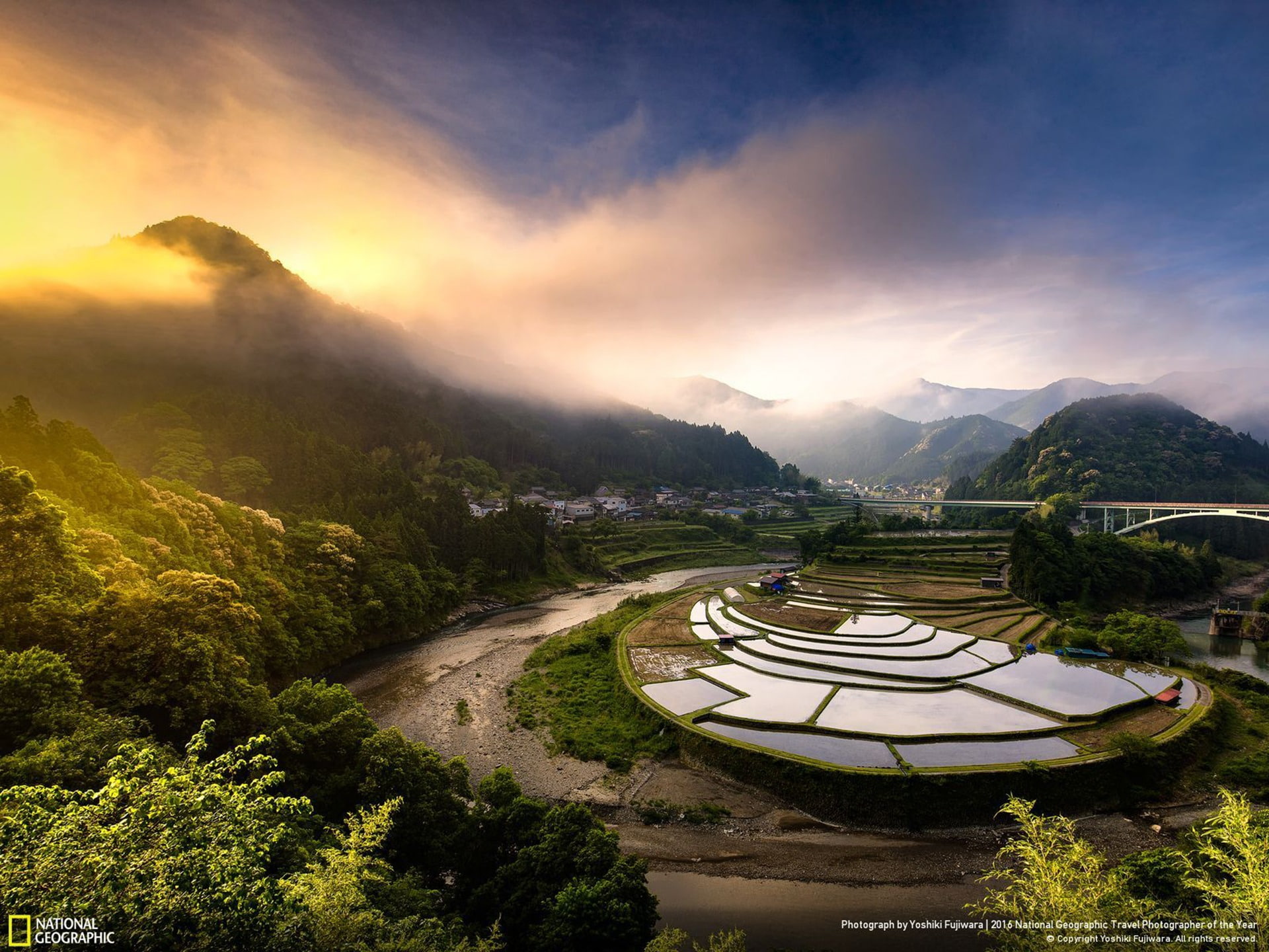 architecture, beauty in nature, nature, curve, rice, no people, geographic, growth, mountain range, high angle view, water, plant, mountain, field, paddy, HD Wallpaper