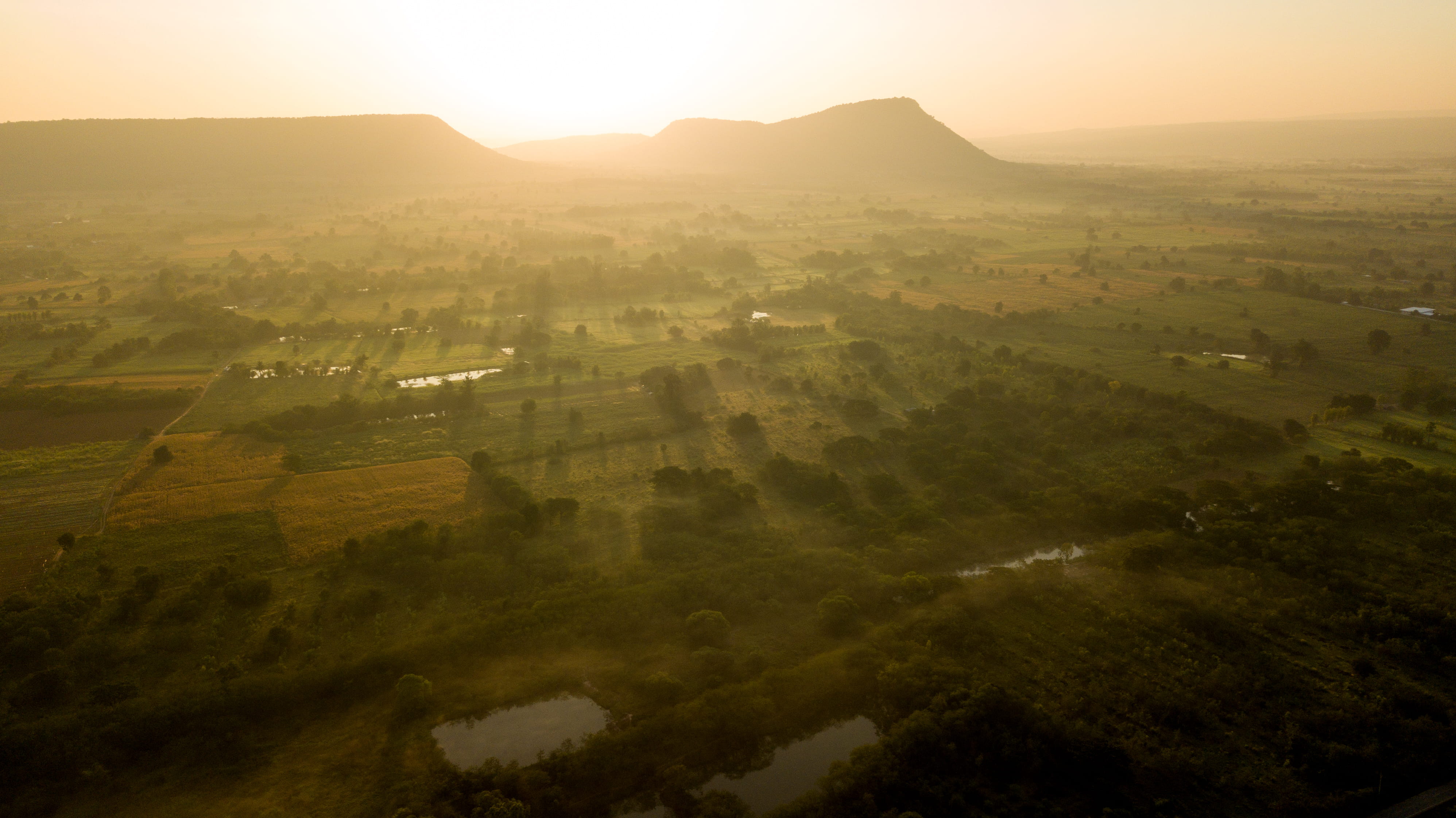 land, built structure, sunrise, fog, birds eye view, rice, aerial view, field, scenic, growth, sun, building exterior, dawn, environment, horizon over land, HD Wallpaper