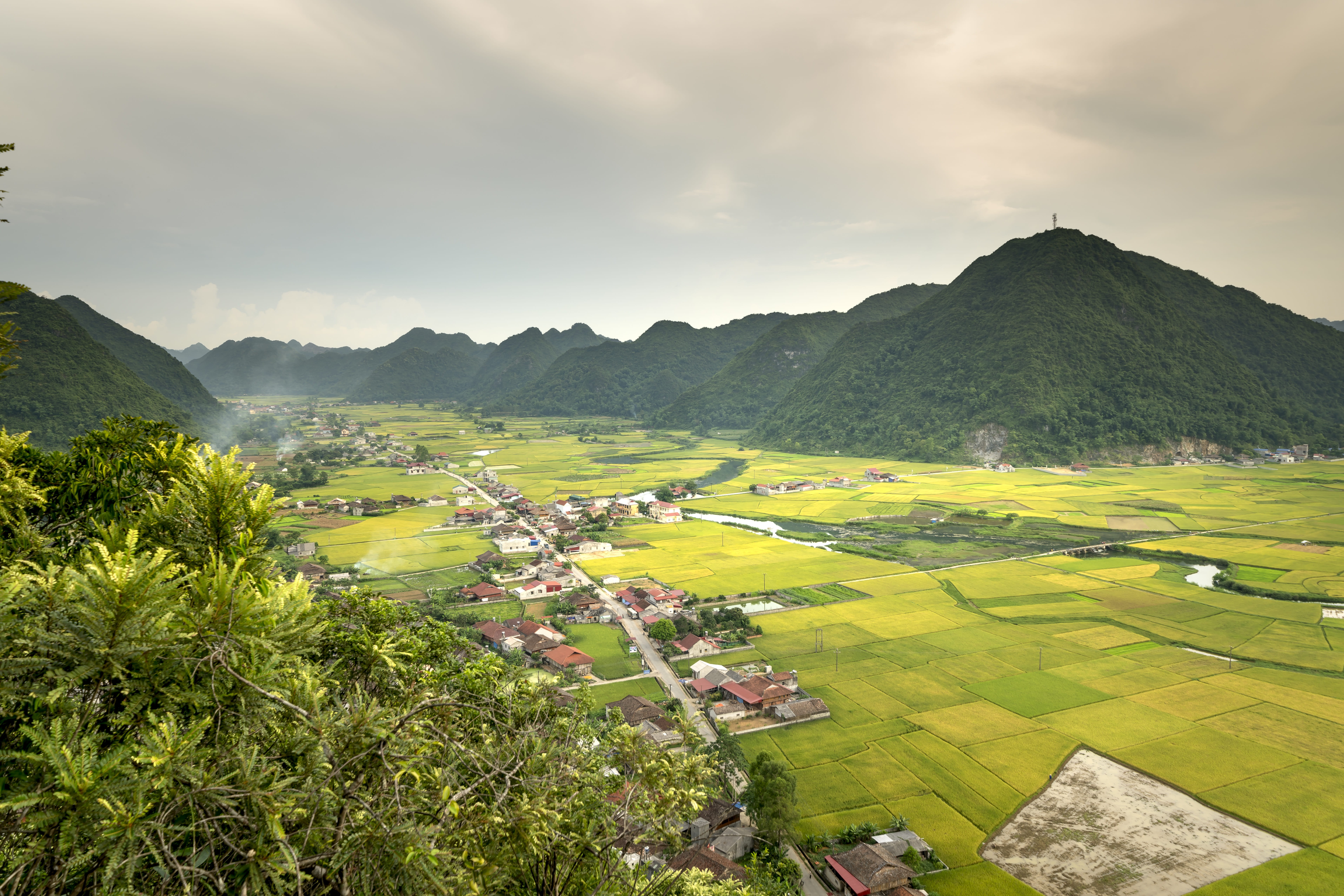 eco, scenics - nature, water, asian color, beauty in nature, mountain, travel, tranquil scene, farm, bac son, plant, land, panoramic, landscape, nature, HD Wallpaper