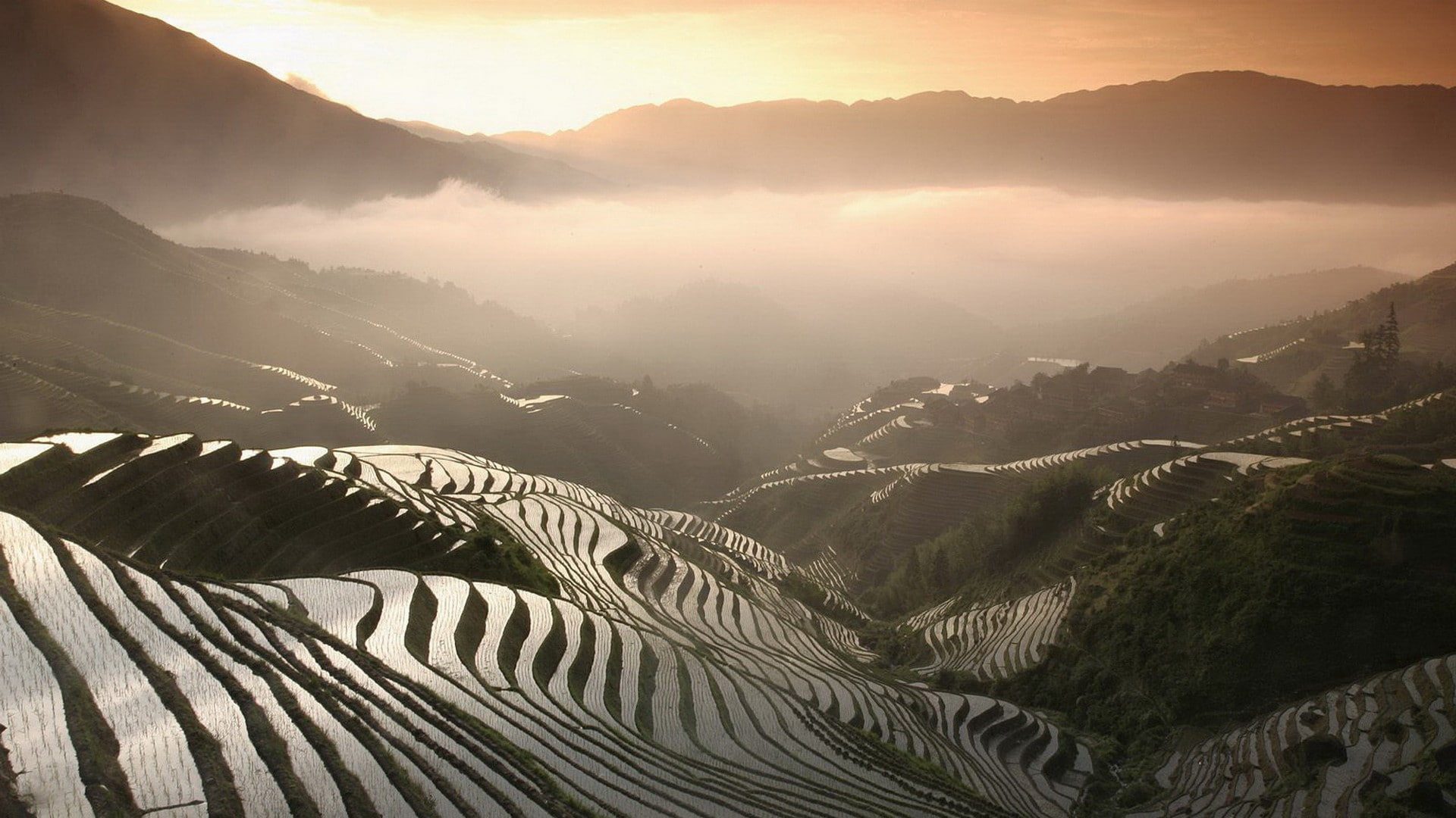landscape, field, Vietnam, 1080P, HD Wallpaper