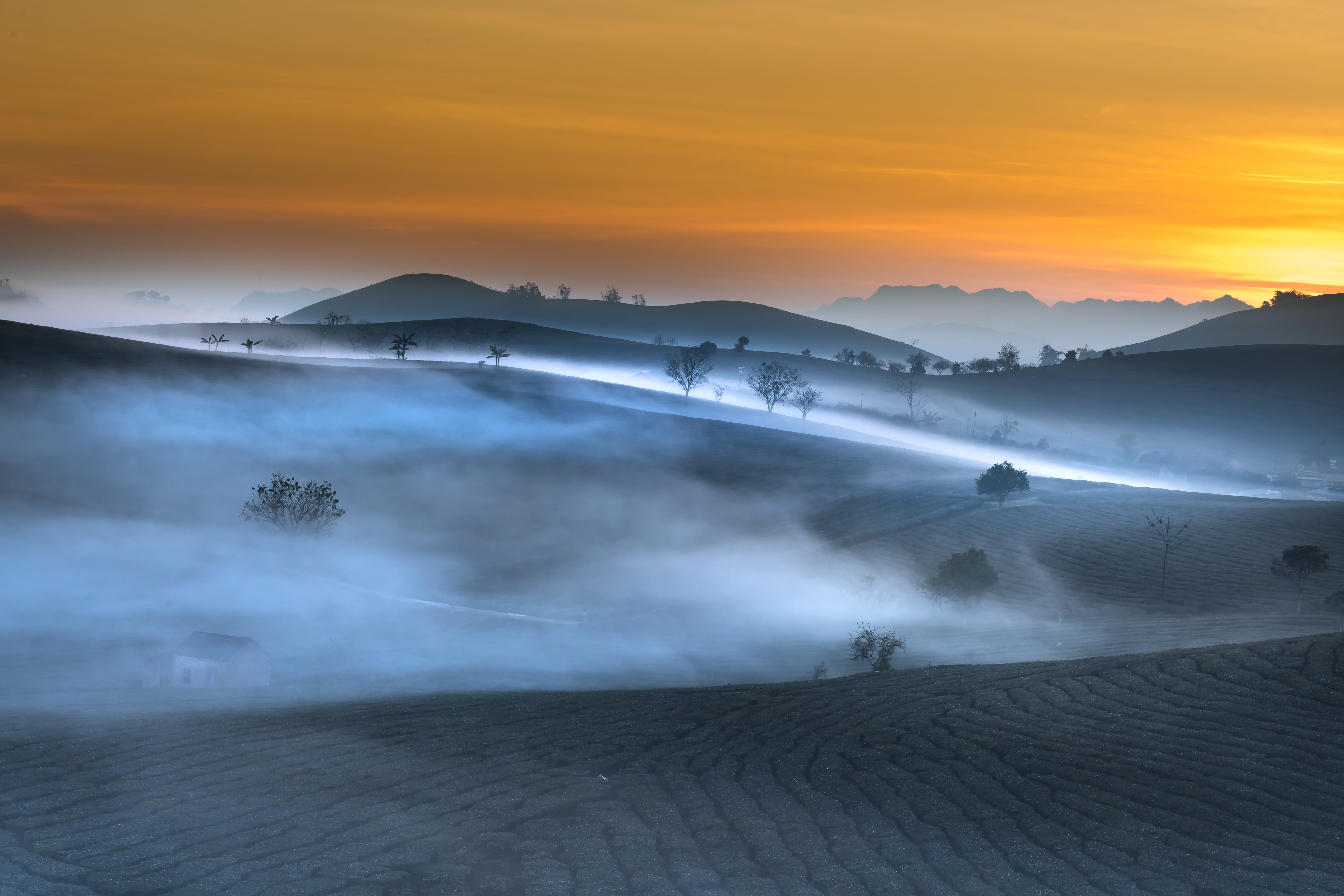 environment, mountains, fog, agriculture, plant, organic, province, scenics - nature, fanciful, non-urban scene, beauty in nature, landscape, land, tree, HD Wallpaper