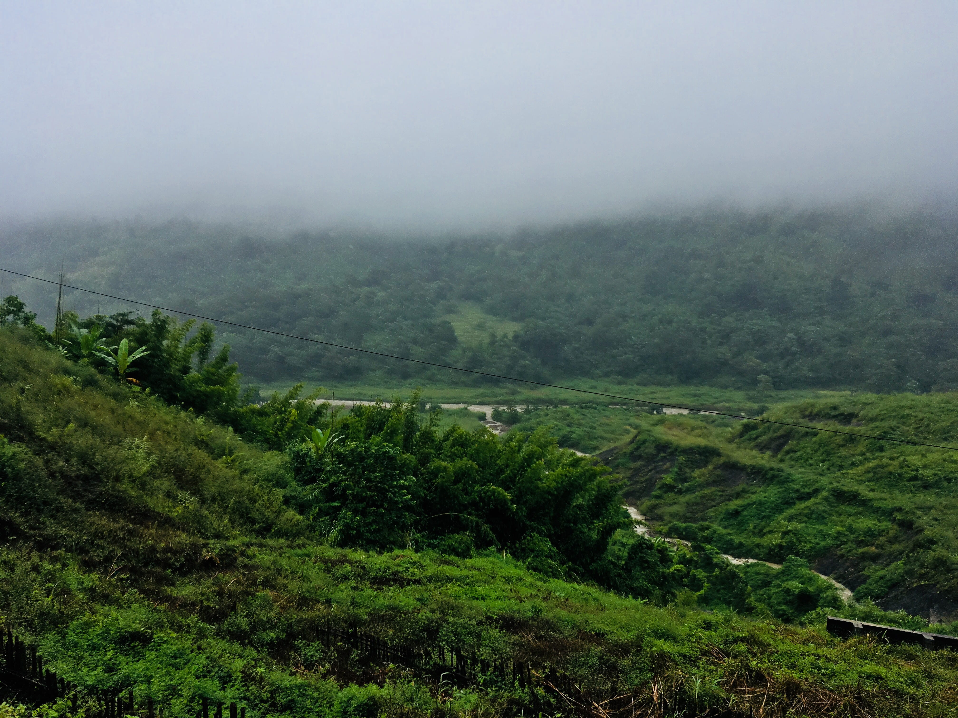 color, wood, aerial, outdoors, tree, growth, countryside, fog, water, lush foliage, land, no people, colour, grassland, landscape, farm, nature, scenics - nature, HD Wallpaper