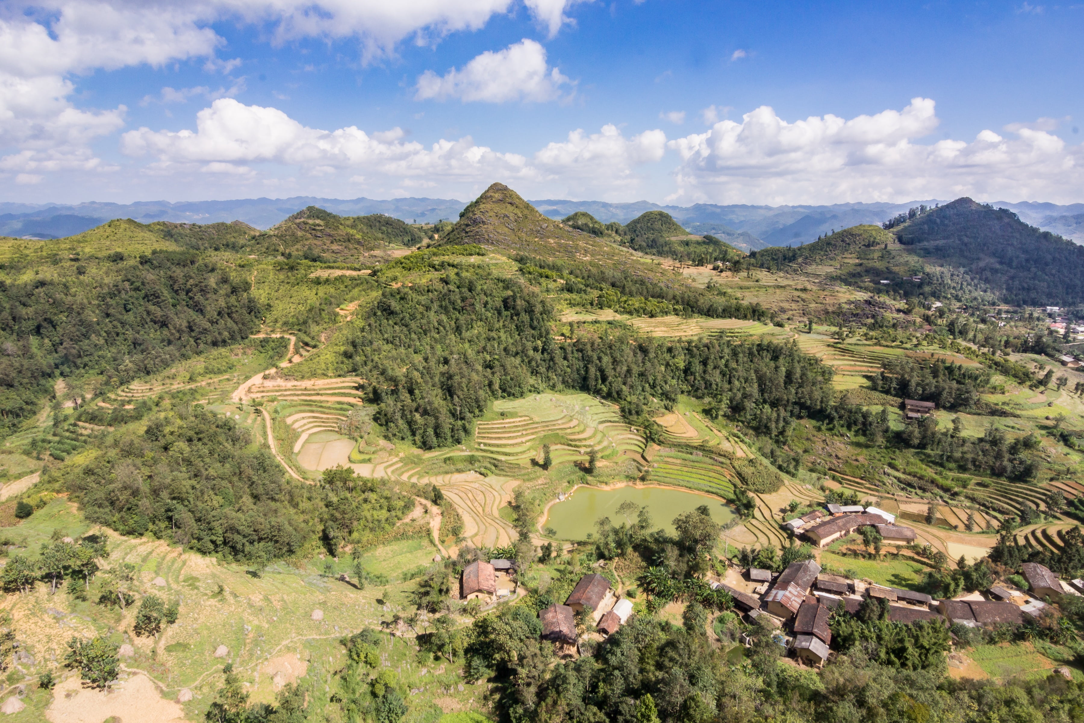 high angle view, nature, day, rice field, village, rural scene, green color, asia, tree, paddy, sky, agriculture, beauty in nature, mountains, ha giang province, HD Wallpaper