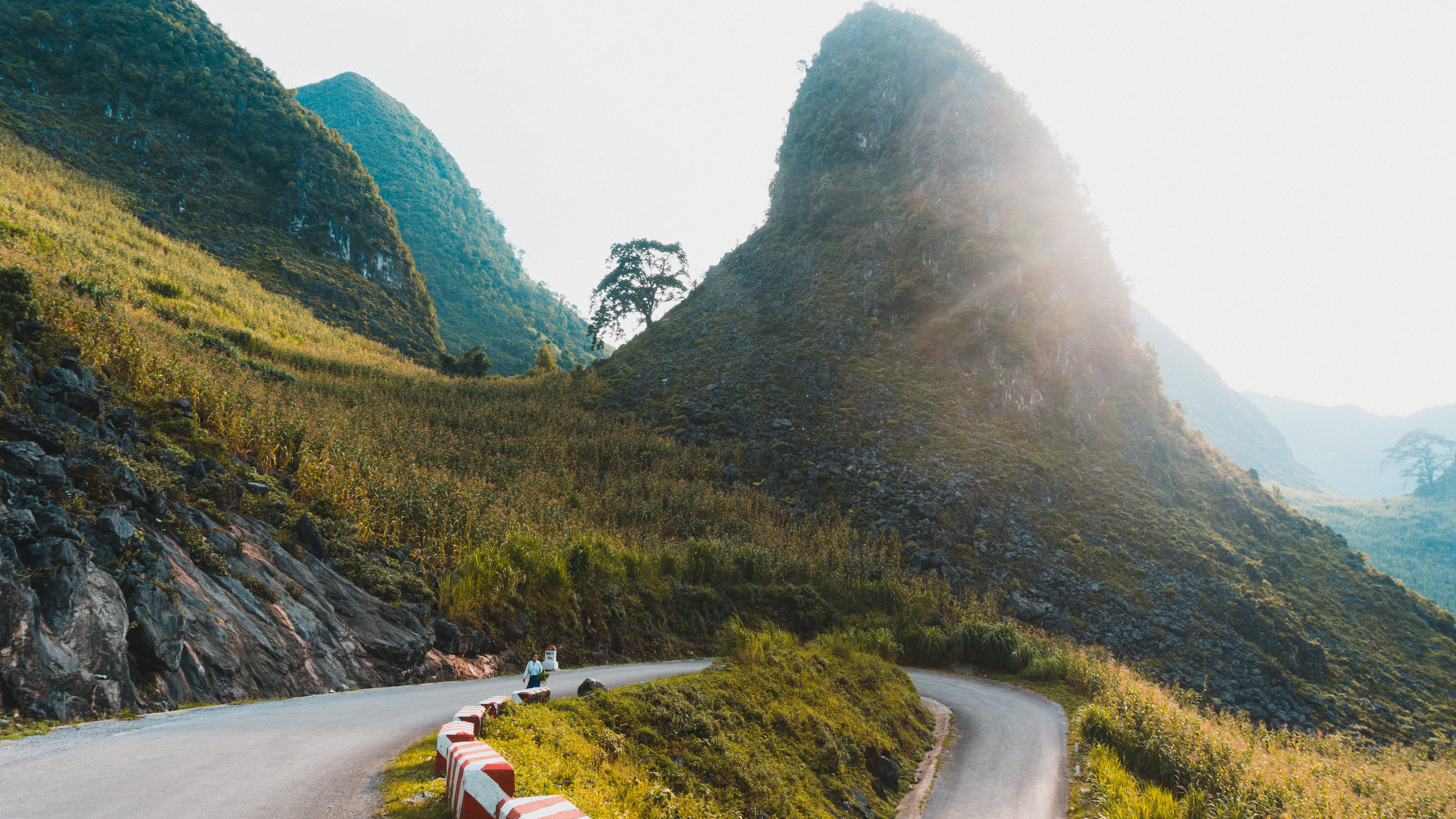 non-urban scene, the way forward, crest, wanderlust, road trip, sunrise, tranquility, scenics - nature, mountain range, mountain road, daytime, perspective, HD Wallpaper