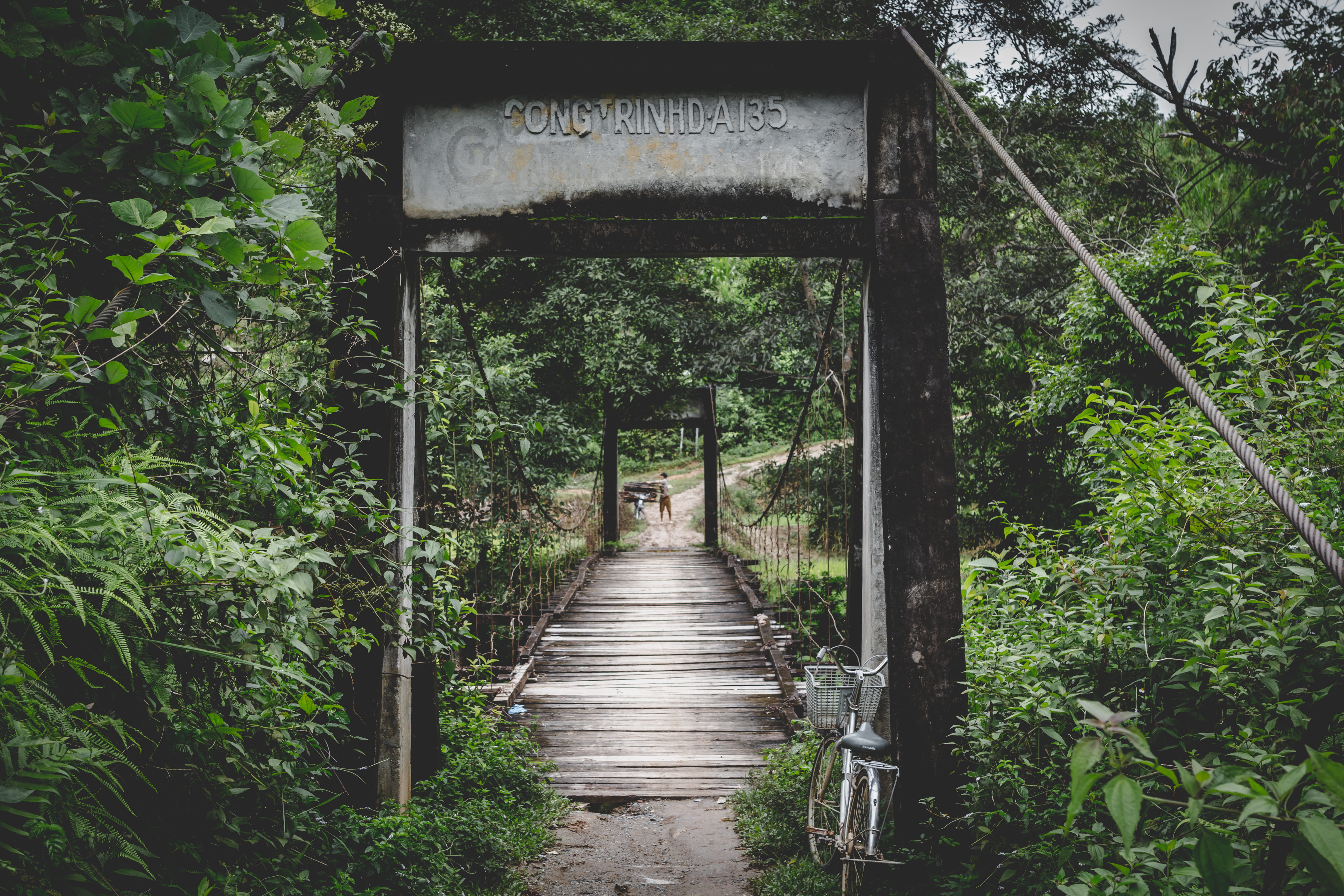 architecture, wandering, growth, wood, tree, green color, plant, trees, direction, tranquility, the way forward, forest, transportation, no people, footpath, HD Wallpaper