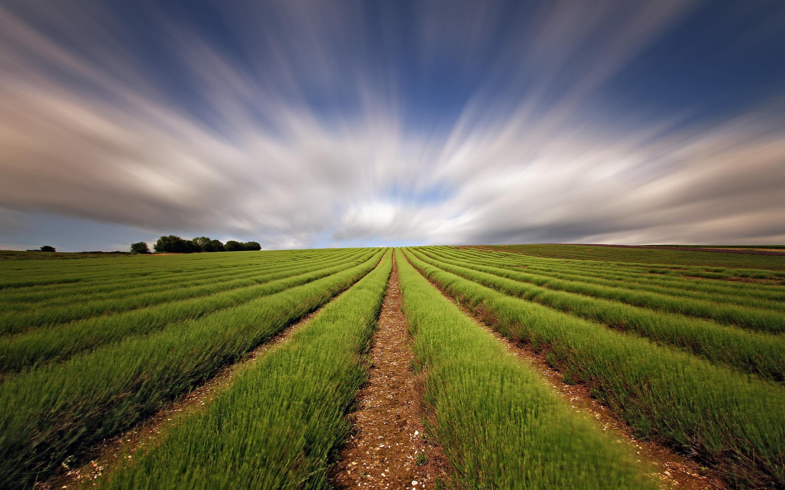 harvest, heartland, crops, heart, skies, land, field, farm, 2K, clouds, l, nature, farmland, tractor, season, rows, HD Wallpaper