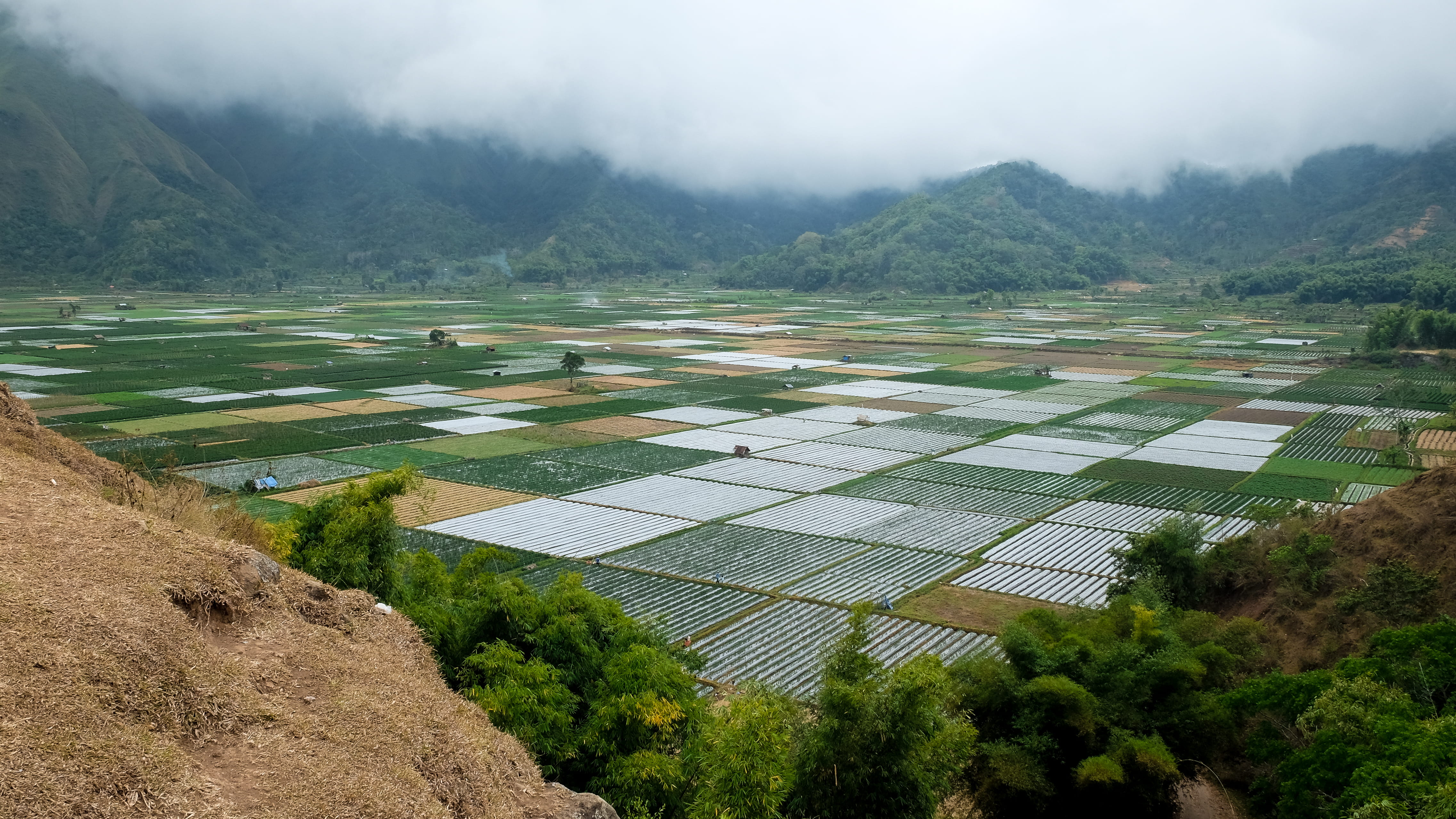 neat, rice, landscape, lombok, paddy, sky, outdoors, tranquil scene, rural scene, field, ricefield, cloudy, environment, growth, 4K, valley, no people, HD Wallpaper