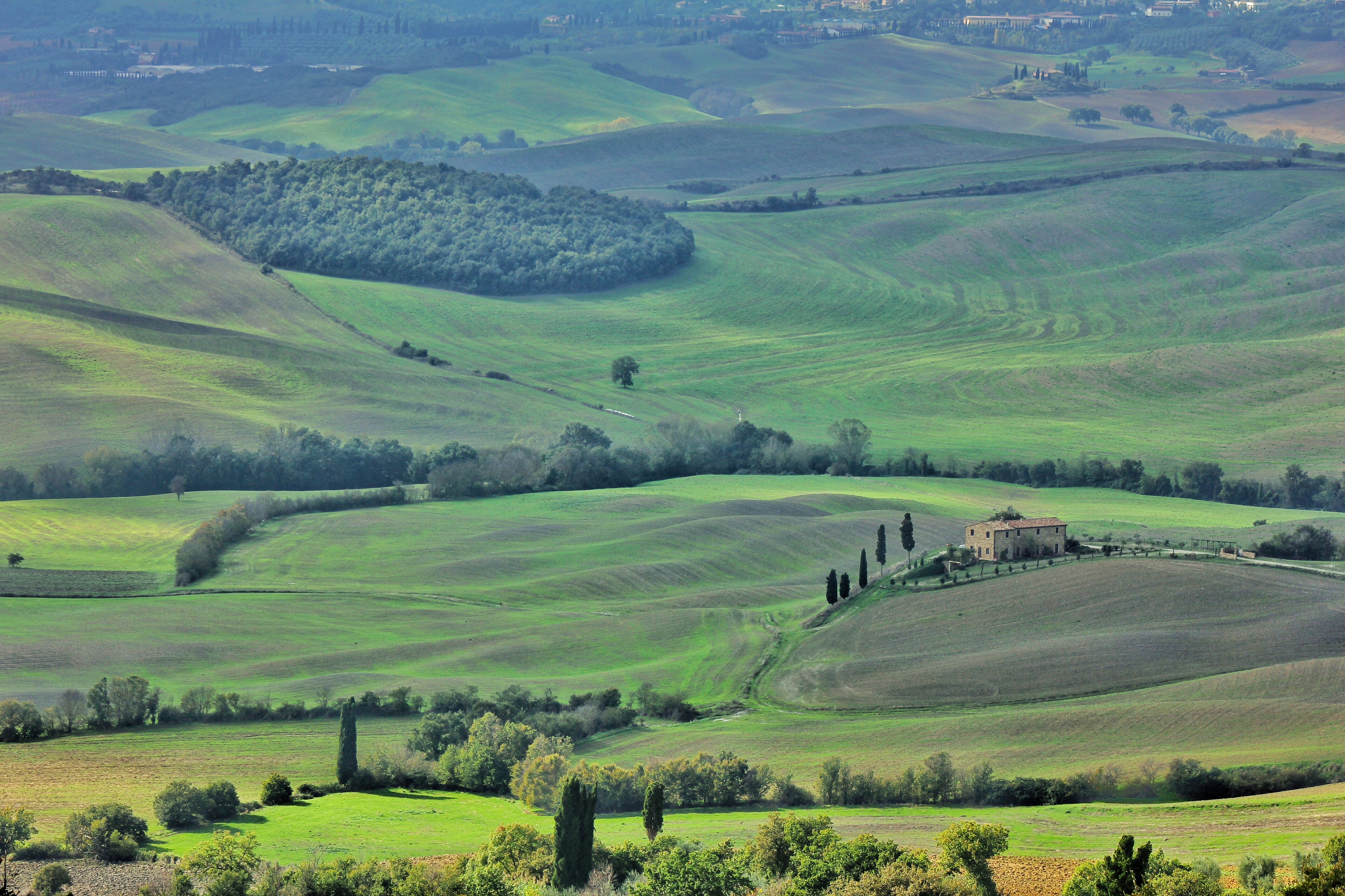 rolling landscape, growth, rural scene, tranquil scene, ricefield, hill, landscape, beauty in nature, italy, agriculture, non-urban scene, tranquility, HD Wallpaper