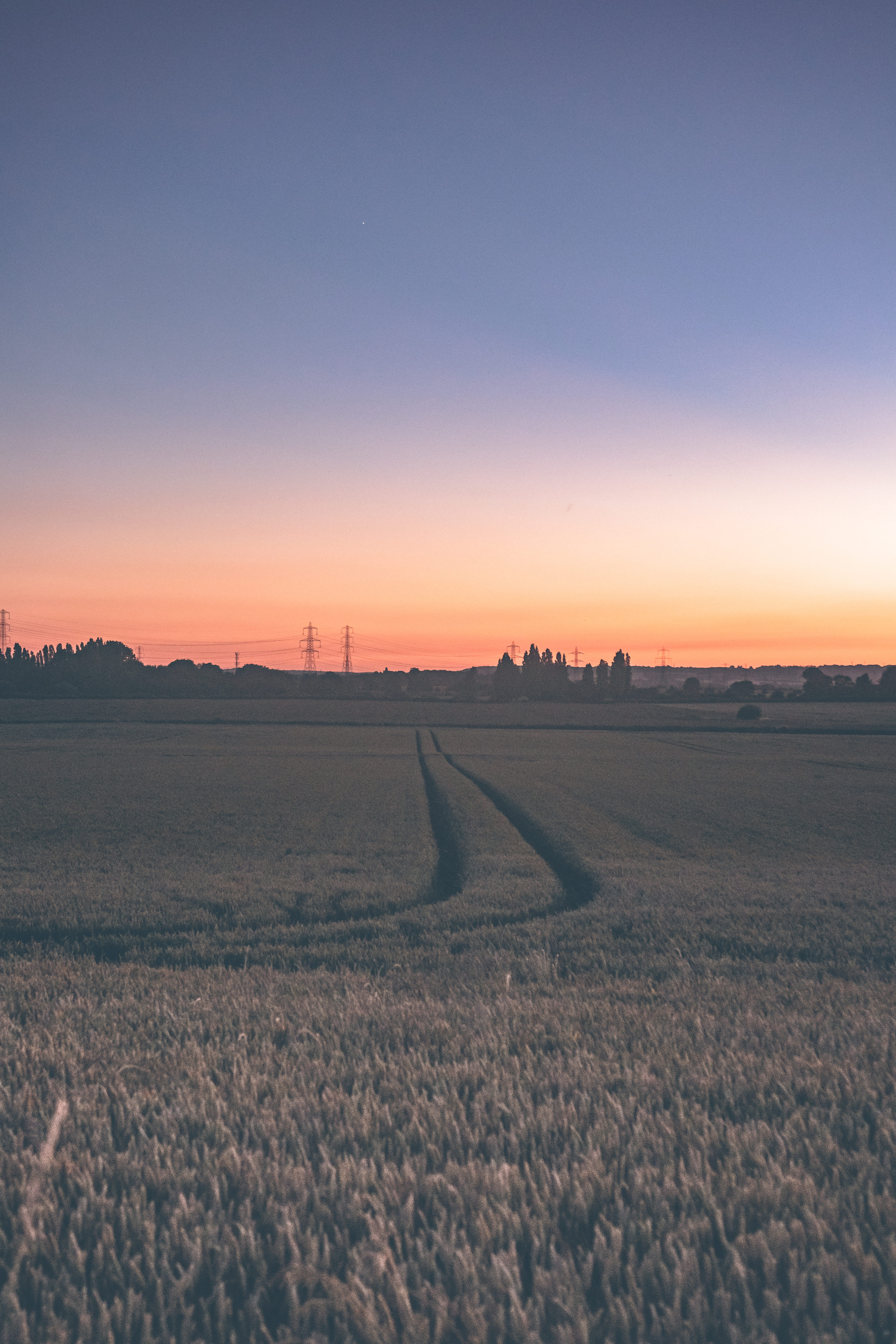orange color, outdoors, 5K, pylon, green, agriculture, dusk, land, naturelandscape, nature, plant, landscape, tree, copy space, ricefield, grain, Phone HD Wallpaper