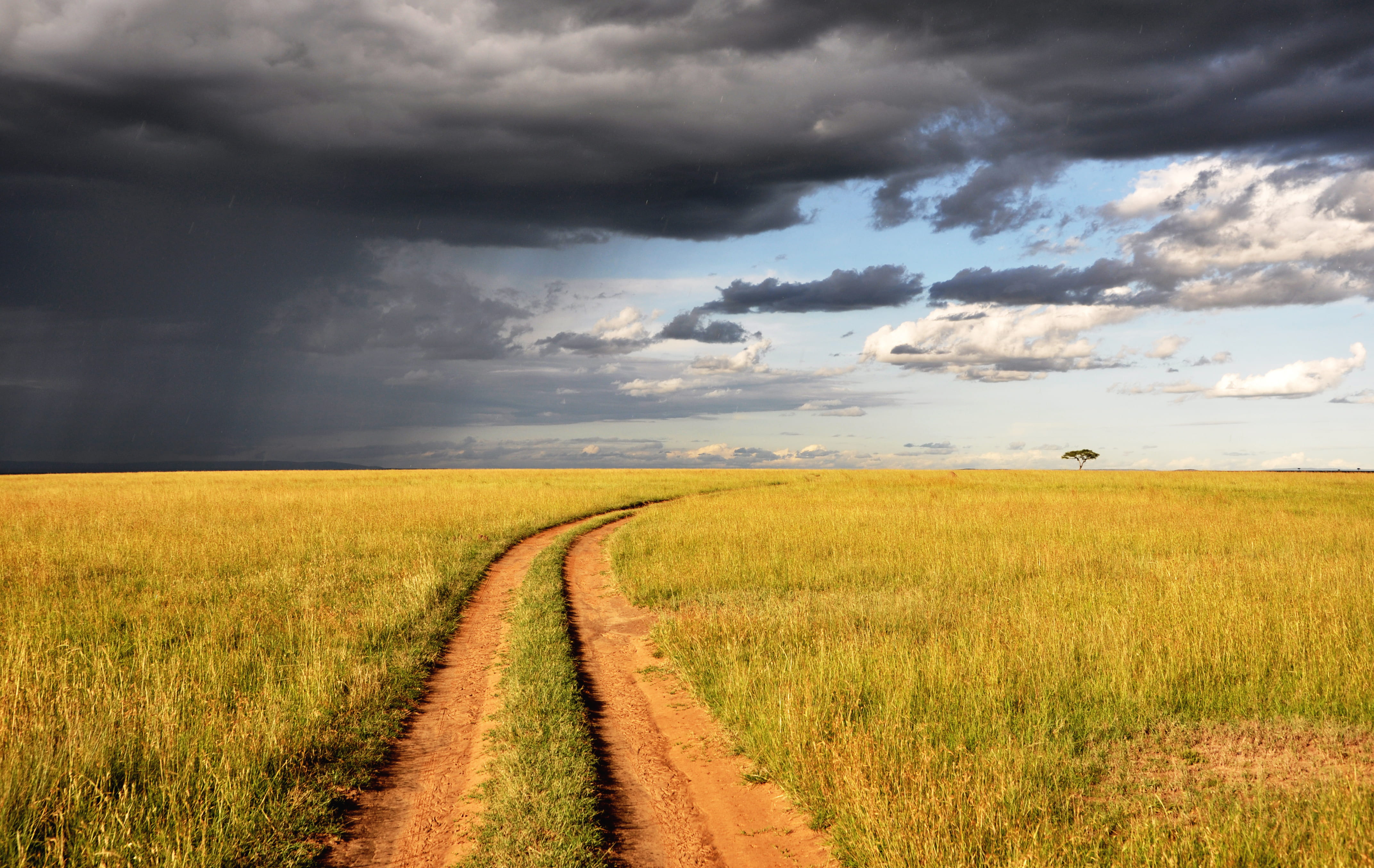 4K, landscape, ricefields, plain, nature, grass, storm cloud, pathway, road, meadow, clouds, tranquility, land, outdoors, surrounded, field, beauty in nature, HD Wallpaper
