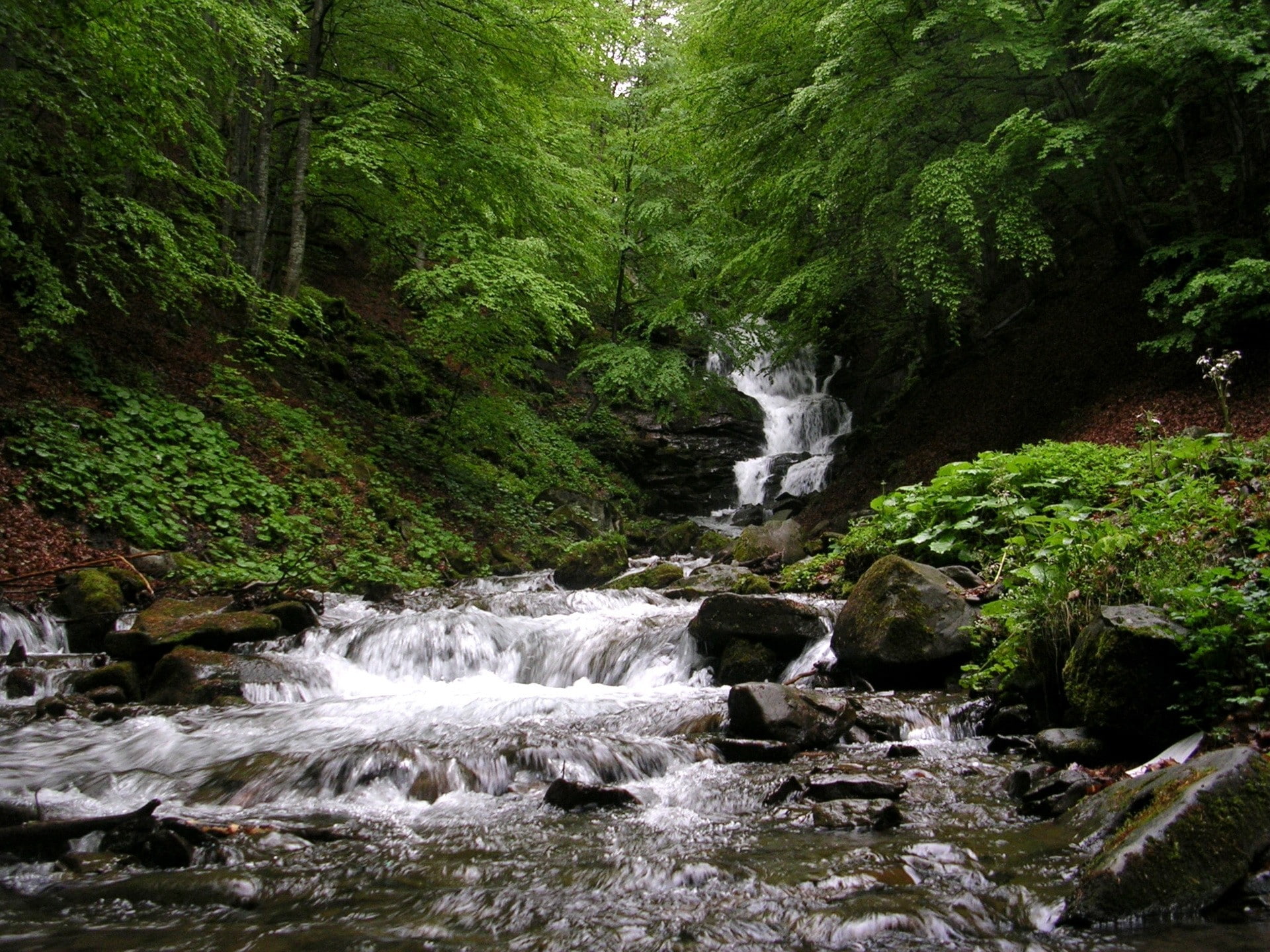 Shupit, Carpathians, nature, waterfall, Ukraine, water, 1080P, HD Wallpaper