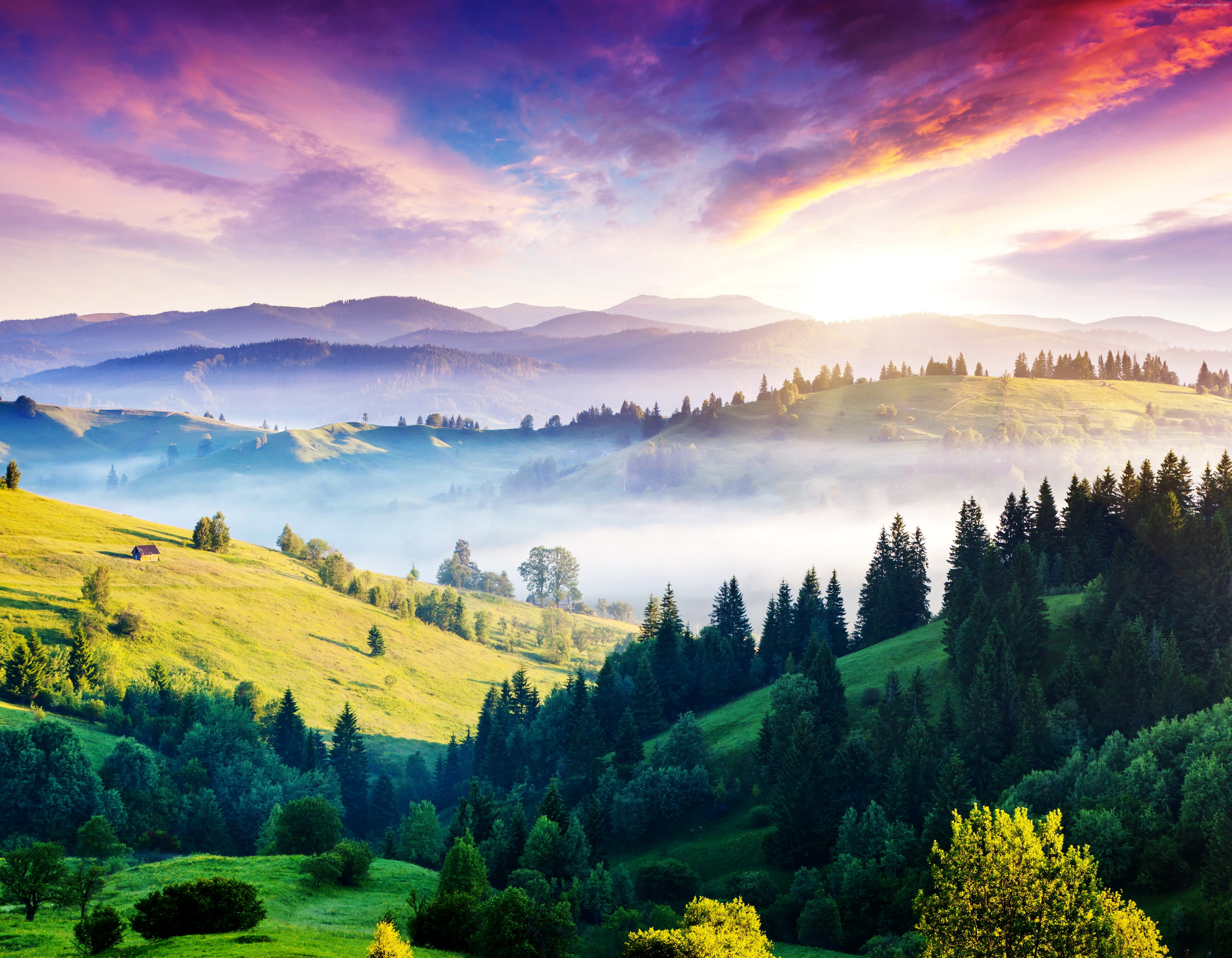 sunset, 5k, hills, Carpathians, fog, 4K, pines, 4k, HD Wallpaper