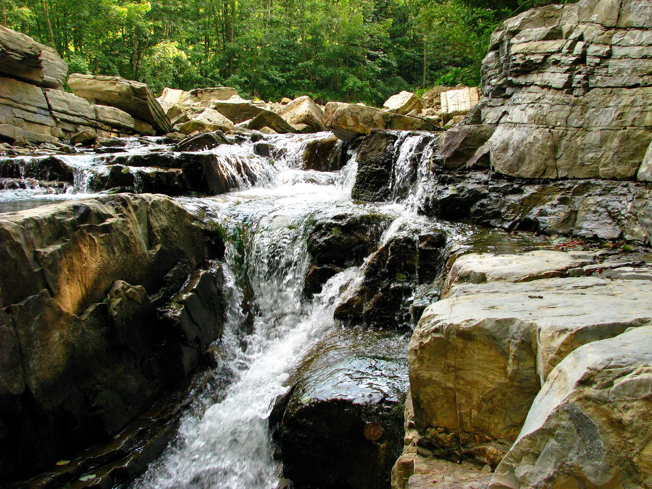 nature, rock, flowing, wood, ukraine, flowing Water, motion, freshness, stone - Object, falling water, landscape, summer, blurred motion, scenics - nature, HD Wallpaper