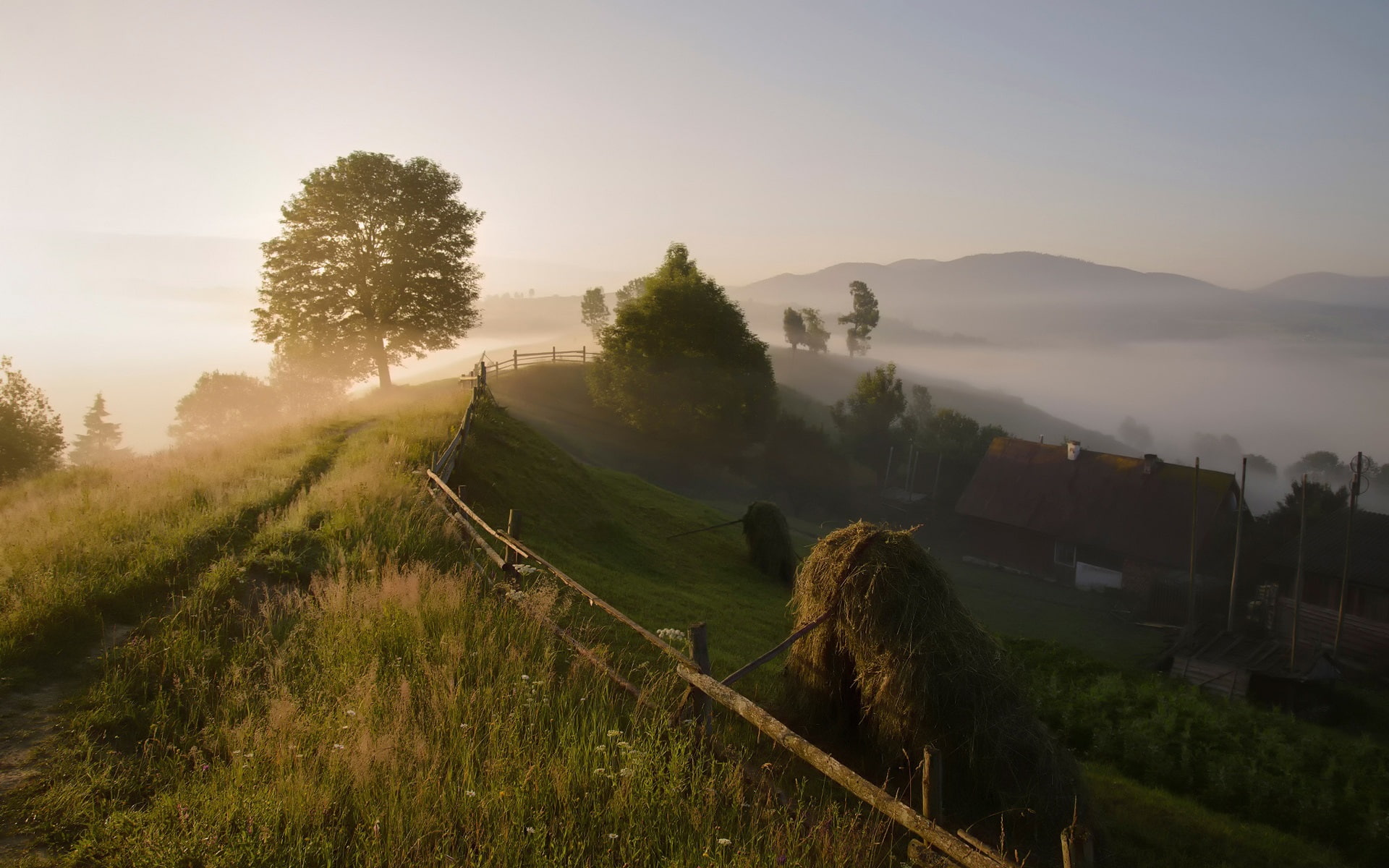 Mountains, Trees, Carpathian, Countryside, 1080P, Summer, Morning, Fog, HD Wallpaper