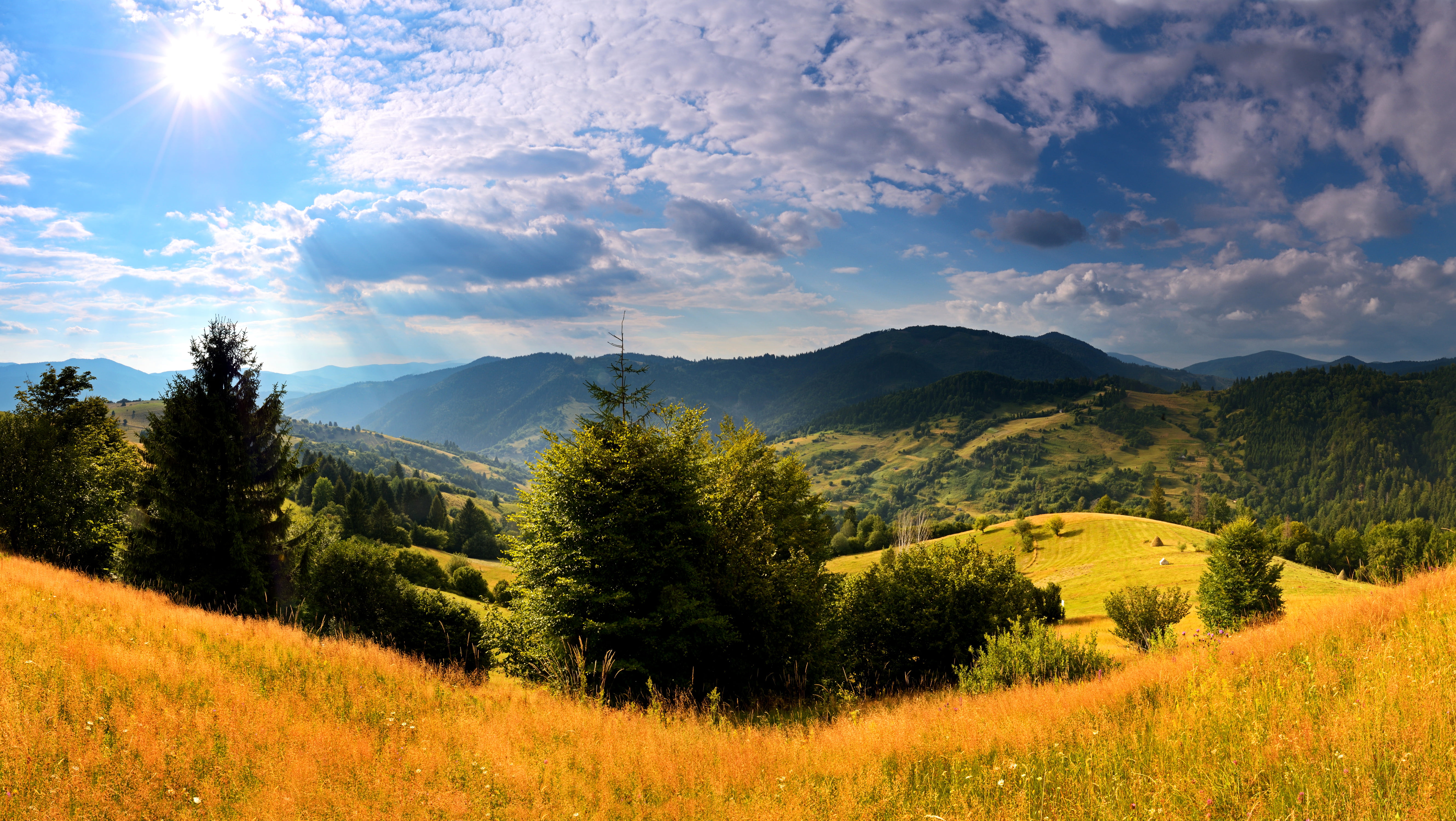 mountain, plant, cloud - Sky, tranquil Scene, beauty, travel, sun, green Color, growth, land, Carpathians, scenics - nature, valley, mountains, coniferous tree, HD Wallpaper