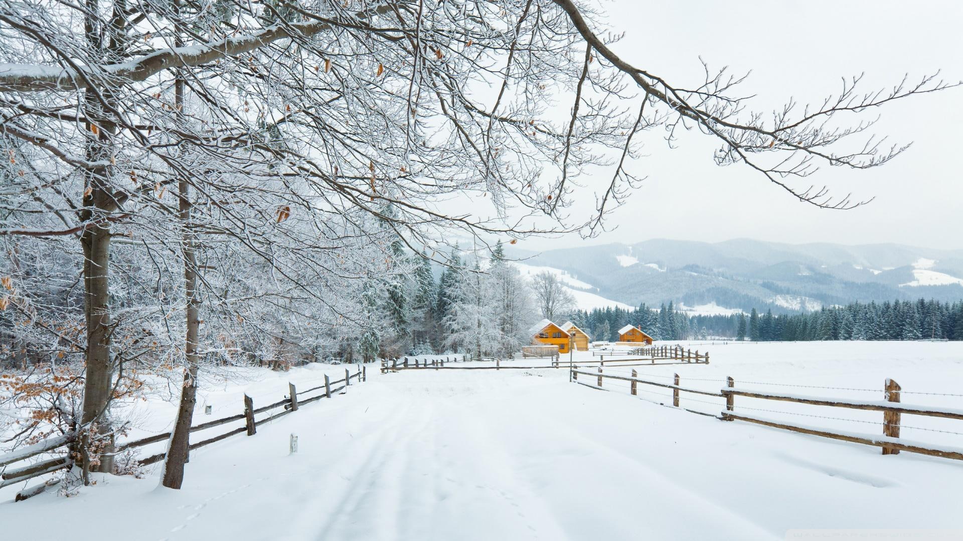 fence, nature and landscapes, farms, 1080P, winter, trees, carpathians, HD Wallpaper