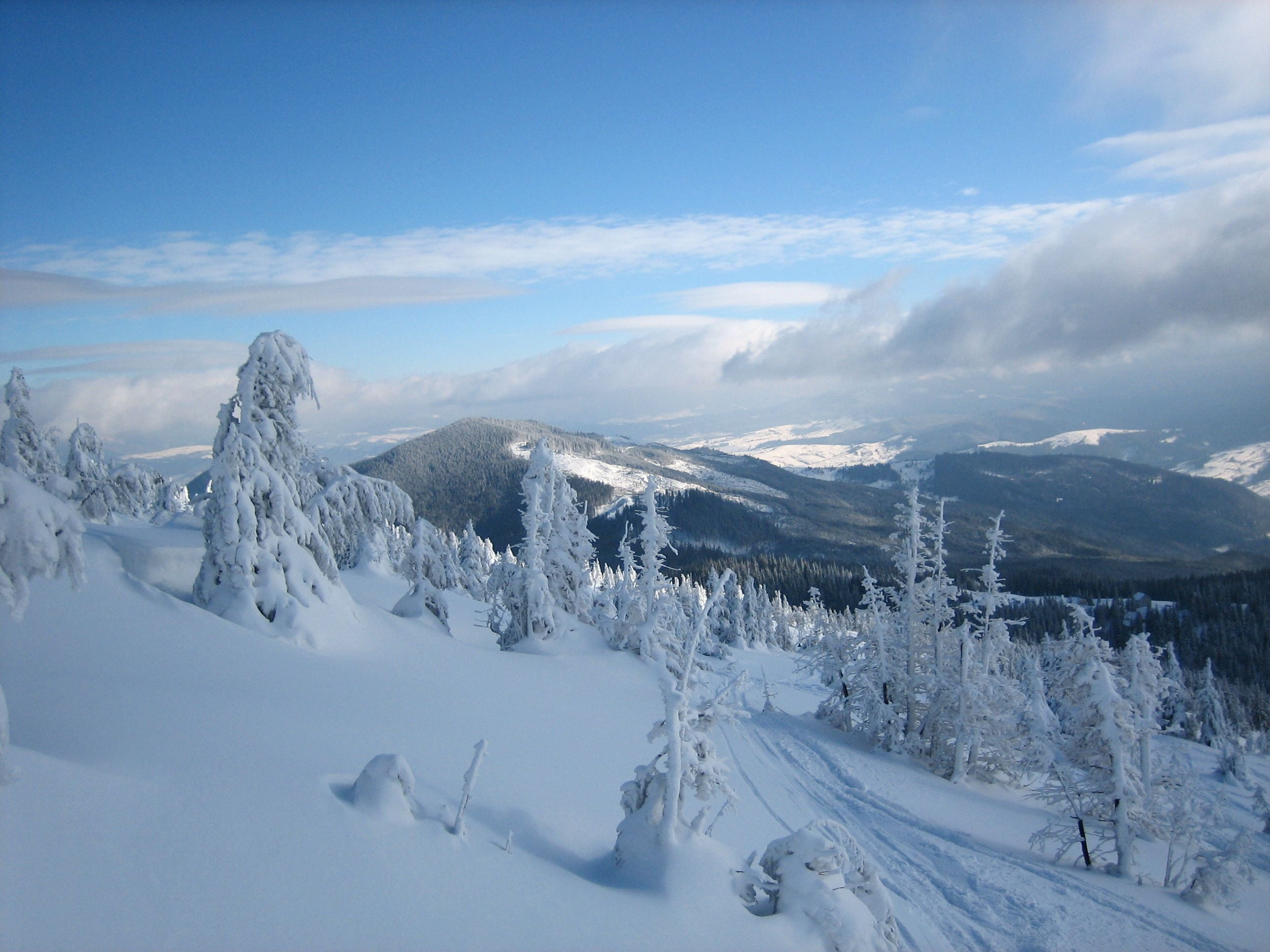 covered, travel, ukraine, 2K, cloud - Sky, panoramic, scenics, no People, frost, sunlight, european Alps, mountain, carpathian mountains, coniferous tree, HD Wallpaper
