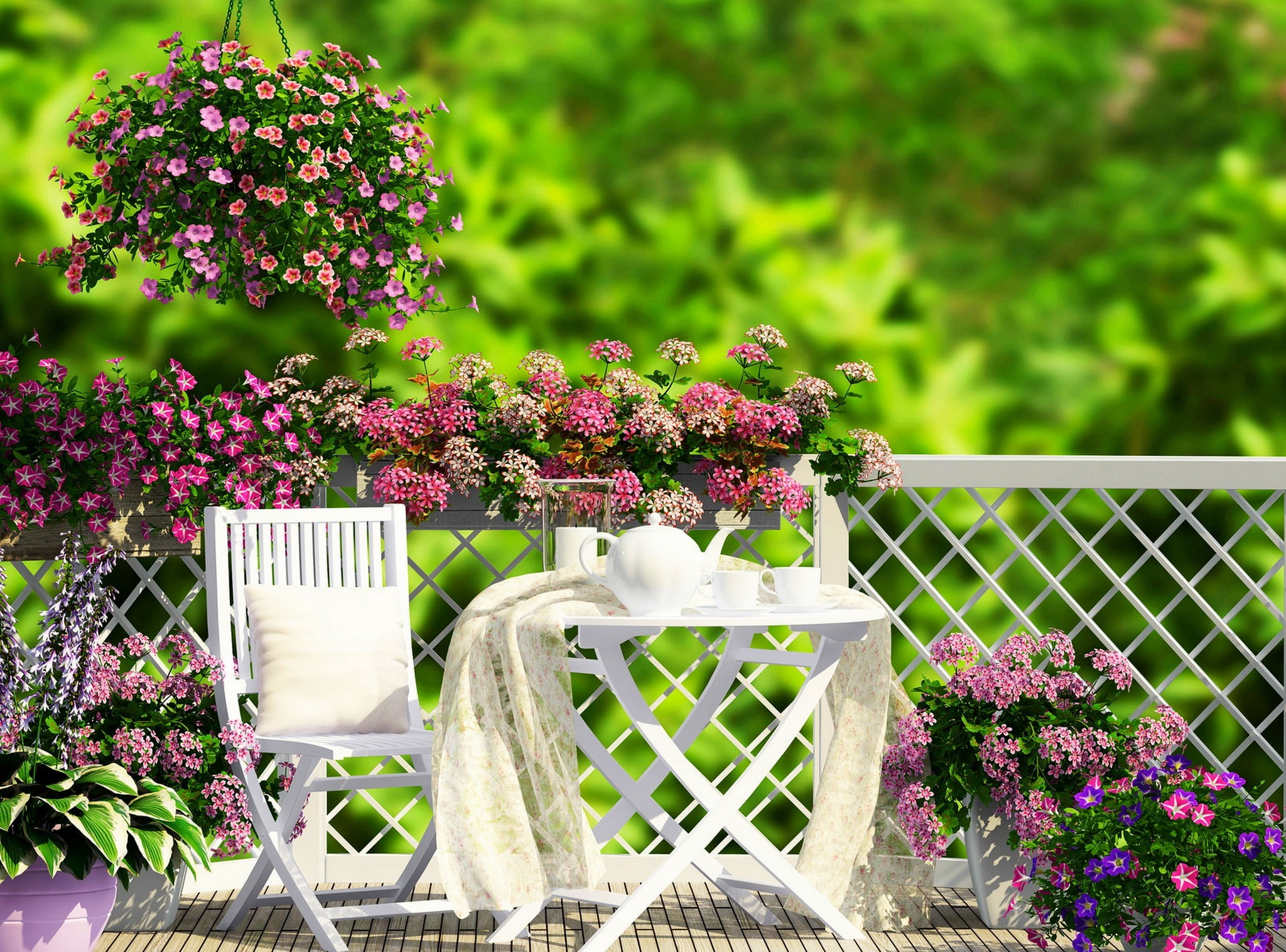 blue, beauty In Nature, pink Color, growth, flower Head, flowerbed, table, summer, flower, season, springtime, green Color, no People, flowering plant, HD Wallpaper