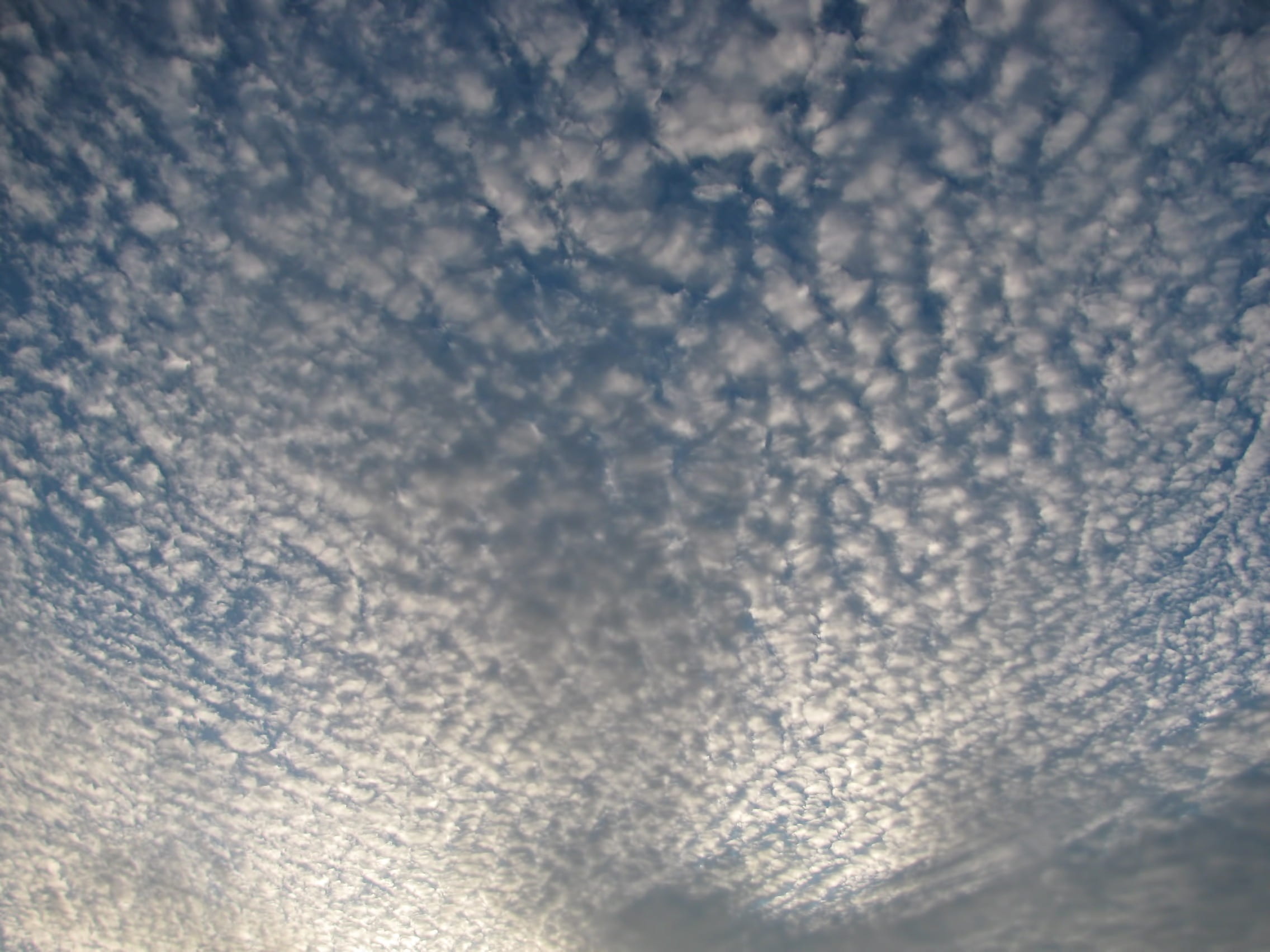 abstract, cirrocumulus, environment, purity, no people, nature, tranquil, clouds, low angle view, beauty in nature, 1080P, softness, cirrus, cloud - sky, HD Wallpaper